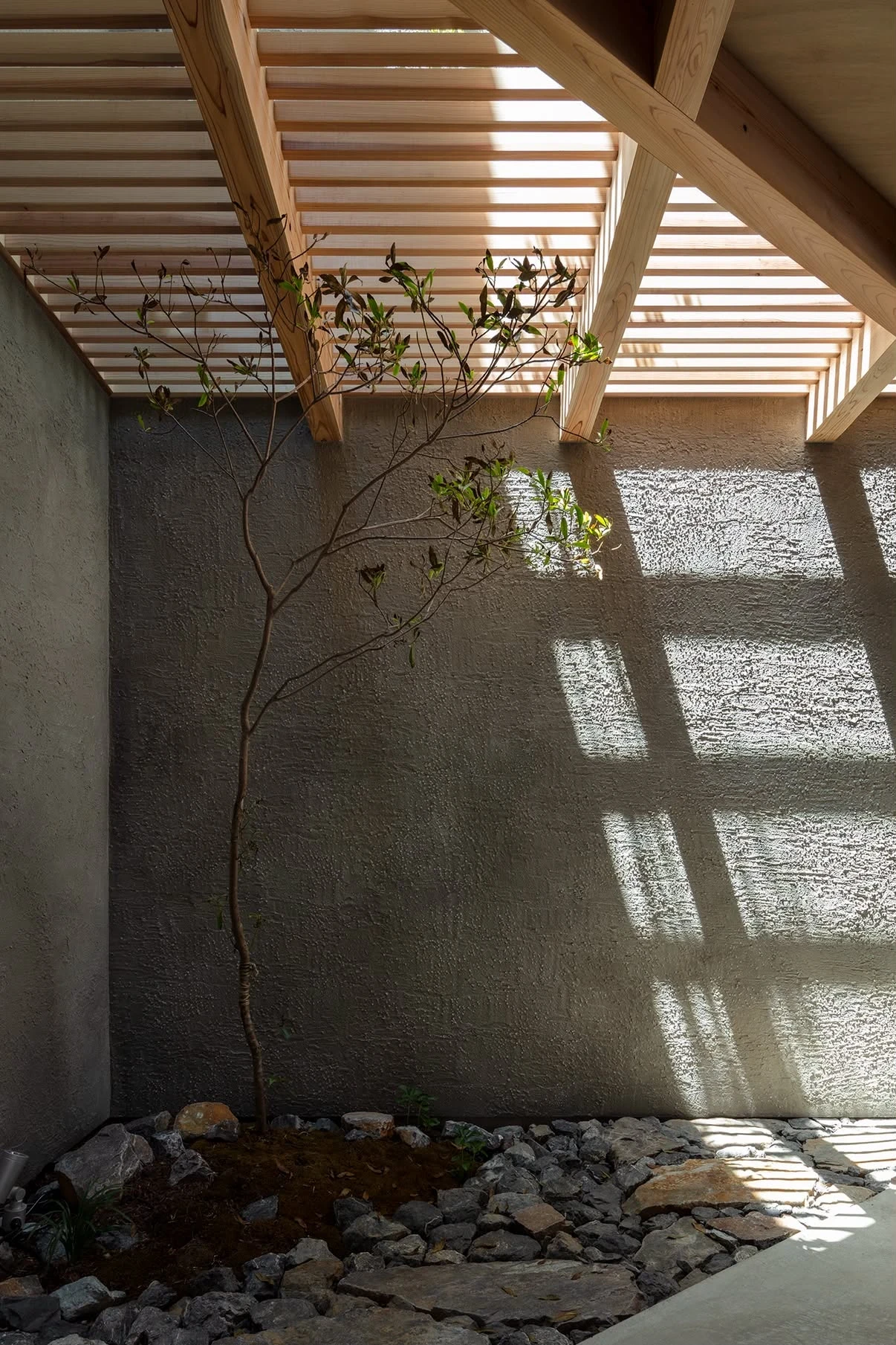 NesT by mA-style architects, photographed by Norihito Yamauchi — A slender tree grows from a bed of rough stones against grey render, sunlight thrown across the wall through a timber louvre canopy above.