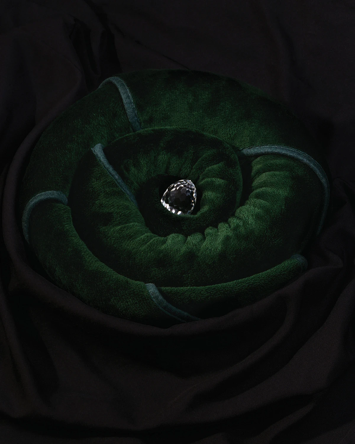Wading by Jon Testa, photographed by Jon Testa — a cut clear gem resting at the center of a coiled green velvet cushion against black cloth.