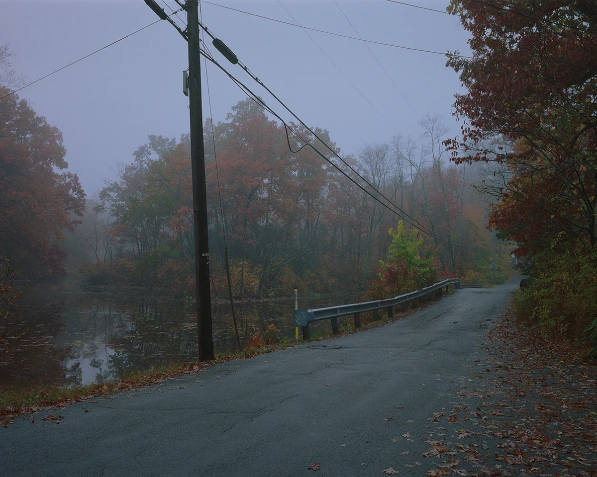 Wading by Jon Testa, photographed by Jon Testa — a foggy autumn road curving past a still pond and a leaning utility pole strung with sagging wires.