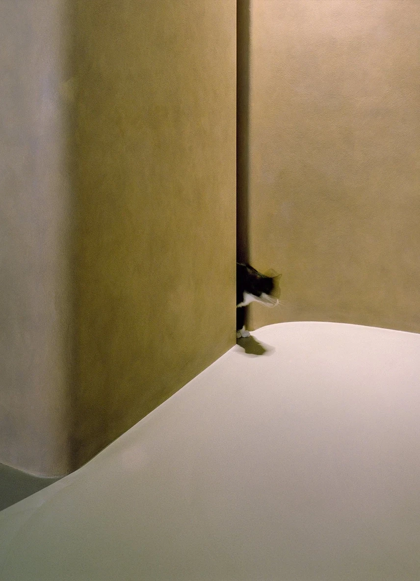 Uno's Purr-fect Time by W&Li Design, photographed by Studio Millspace — the cat Uno peers around the edge of a curved olive-taupe plaster wall above a sweep of pale poured floor.