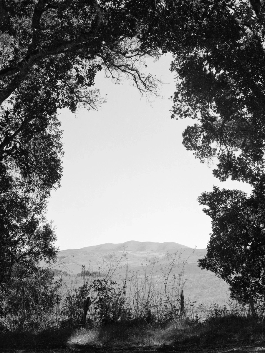 Eternal Return by Benjamin Young, photographed by Benjamin Young — a distant hill framed by the dark arching canopy of two oaks, seen from the shaded edge of the trees.