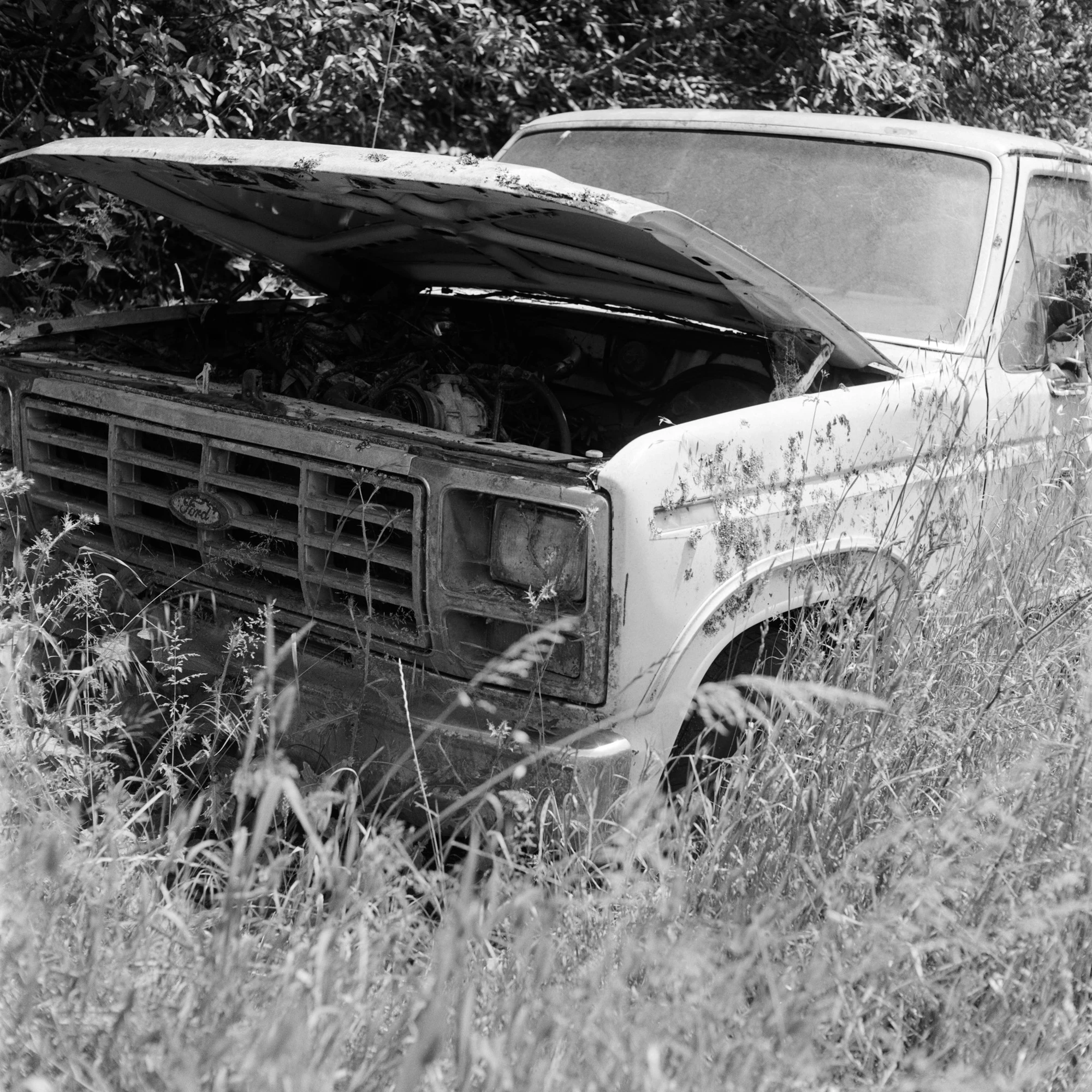 Eternal Return by Benjamin Young, photographed by Benjamin Young — an abandoned Ford truck with its hood raised sits swallowed by tall grass at the edge of the woods.
