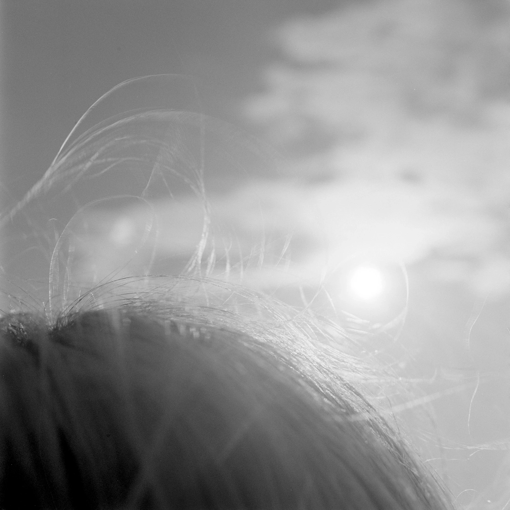 Eternal Return by Benjamin Young, photographed by Benjamin Young — fine strands of hair catch the light against a clouded sky with the bright disc of the sun.