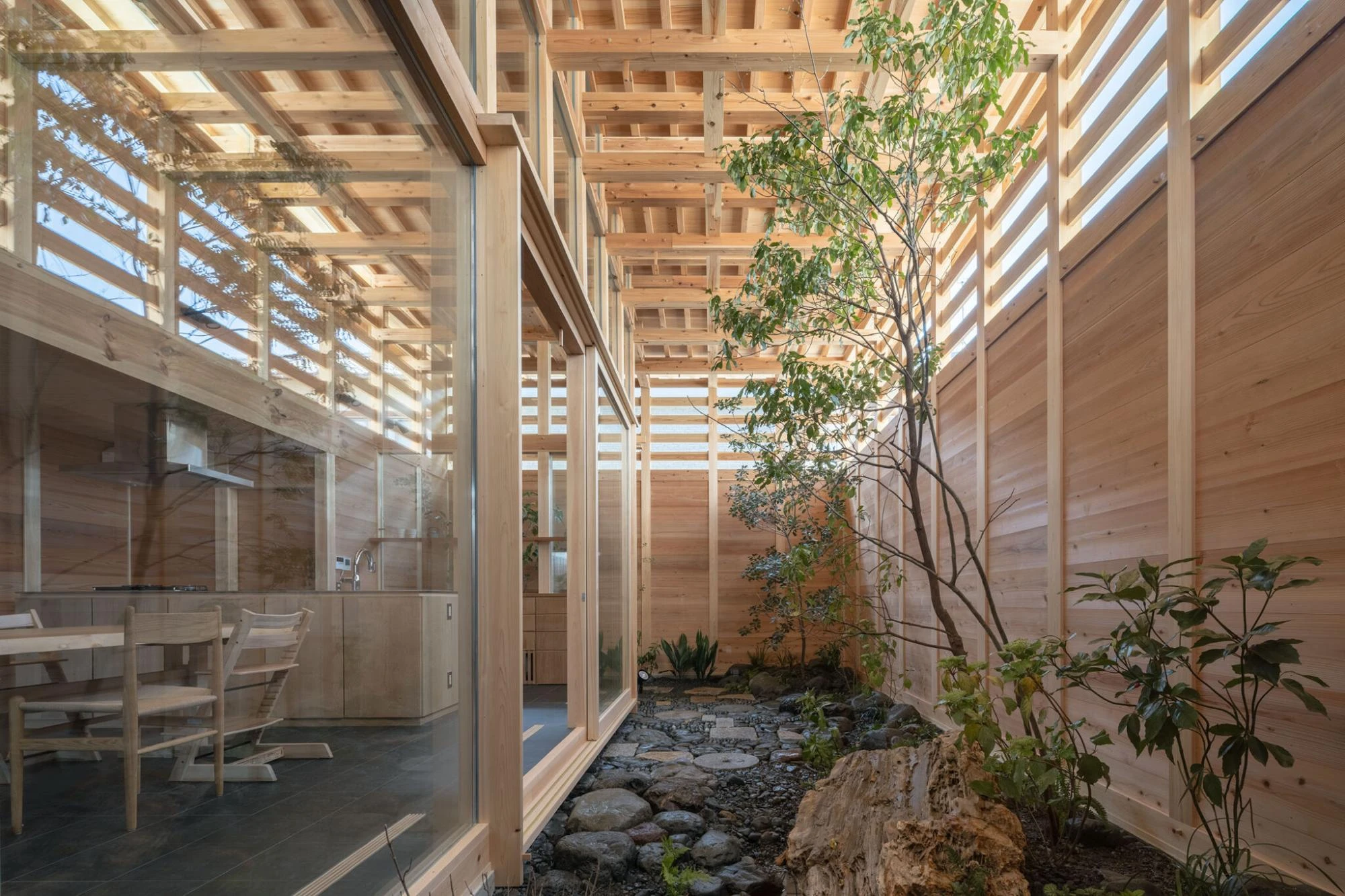 Single Family House in Aichi by Ryota Sekiya, photographed by Shun Fukuda — a narrow glazed passage beside the dining room looks onto a courtyard of gravel, stone and young trees.