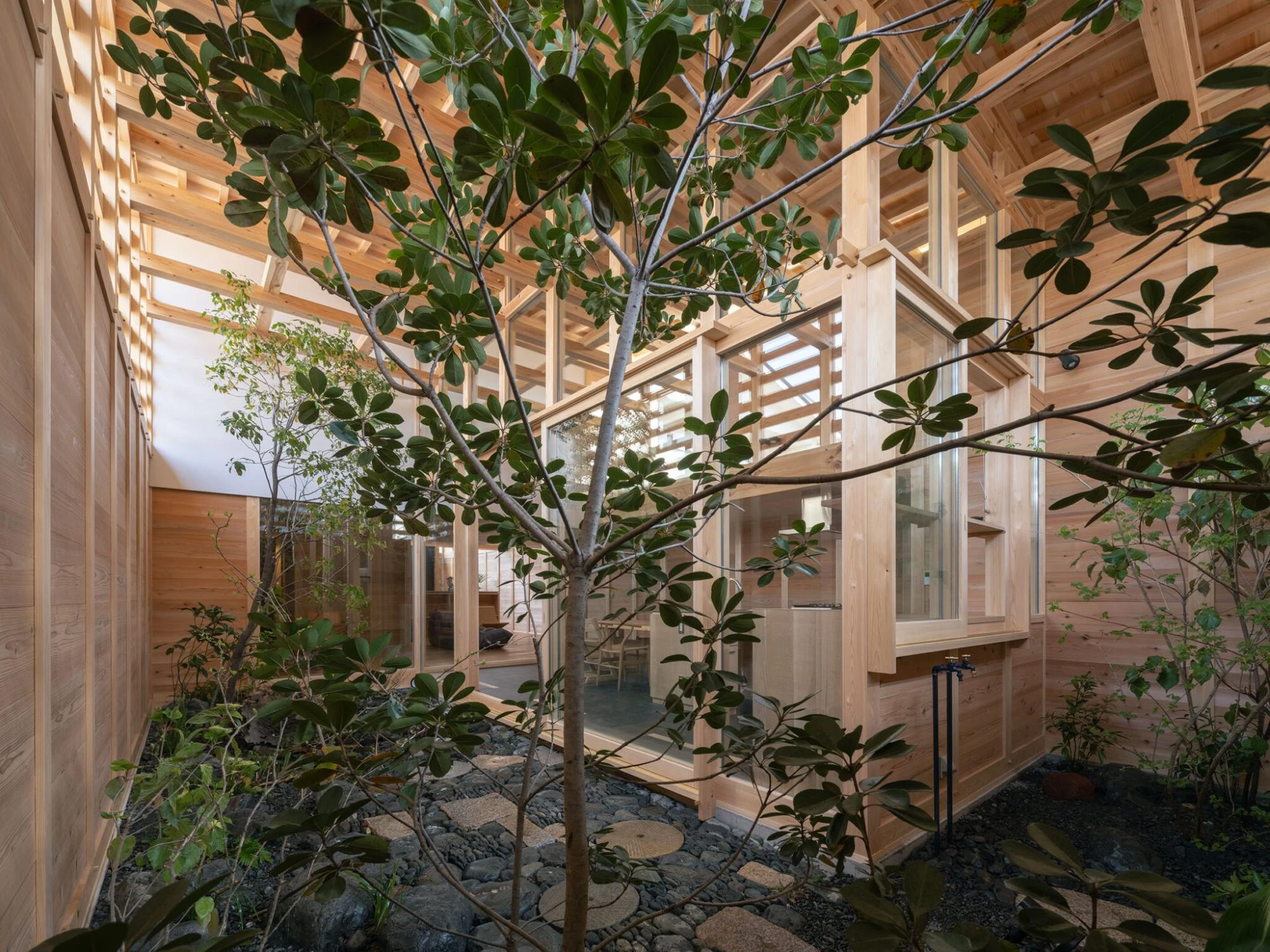 Single Family House in Aichi by Ryota Sekiya, photographed by Shun Fukuda — a courtyard seen from within, a young tree over stone paving surrounded on all sides by cedar-framed glazing.