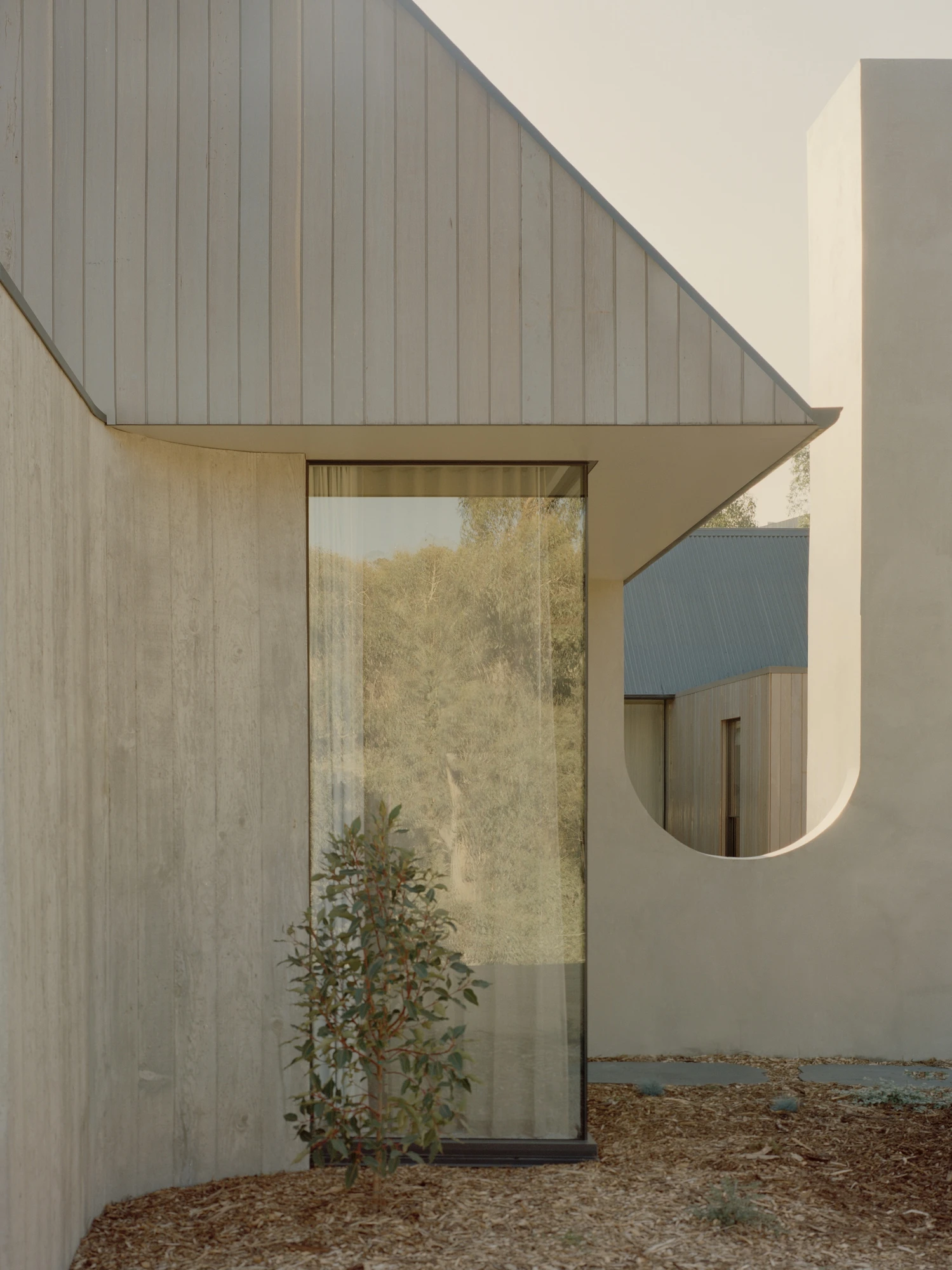 Cathedral House by JAK Architecture, photographed by Tasha Tylee — board-formed concrete walls meet vertical timber cladding at a courtyard, a full-height glazed slot and a curved cut-out opening to the bush.