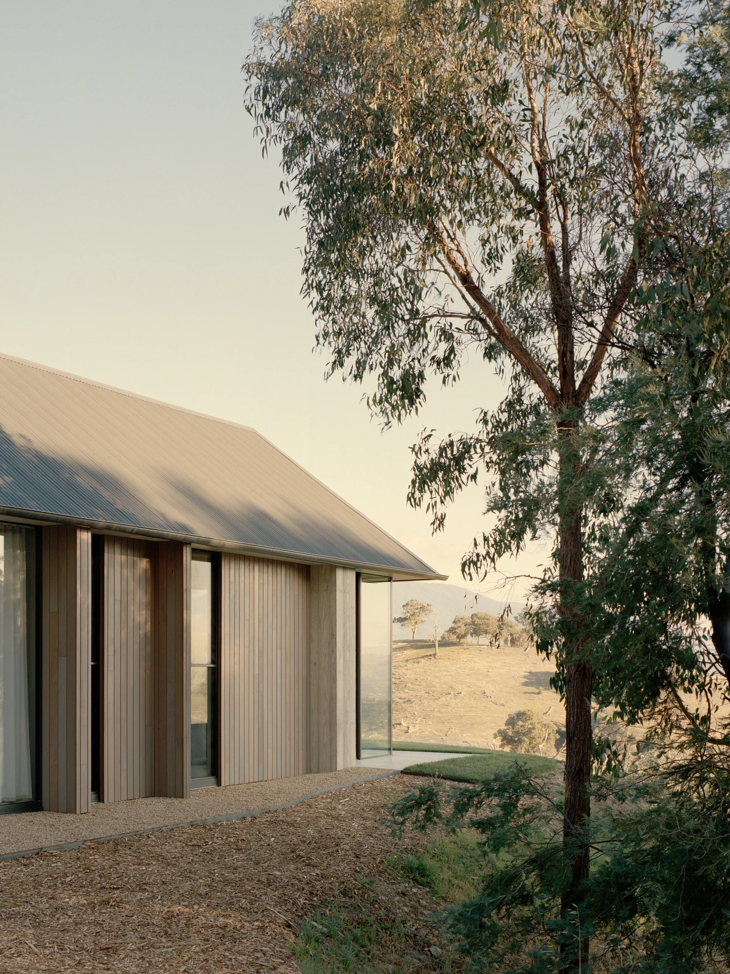 Cathedral House by JAK Architecture, photographed by Tasha Tylee — a corner of the timber-clad house at golden hour with a gum tree in the foreground, sliding doors open to the dry hillside beyond.