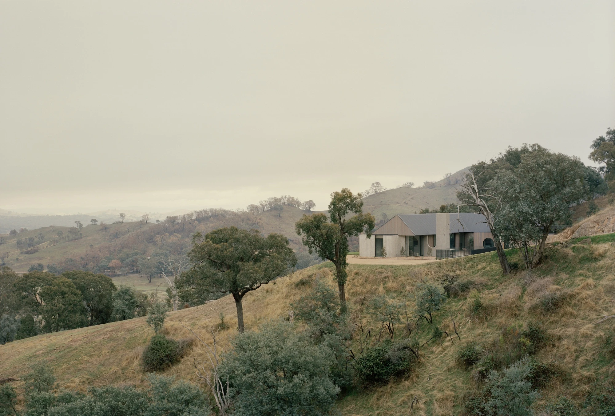 Cathedral House by JAK Architecture, photographed by Tasha Tylee — the retreat sits low on the hillside above a wide misty valley, native grasses and gum trees falling away in the foreground.