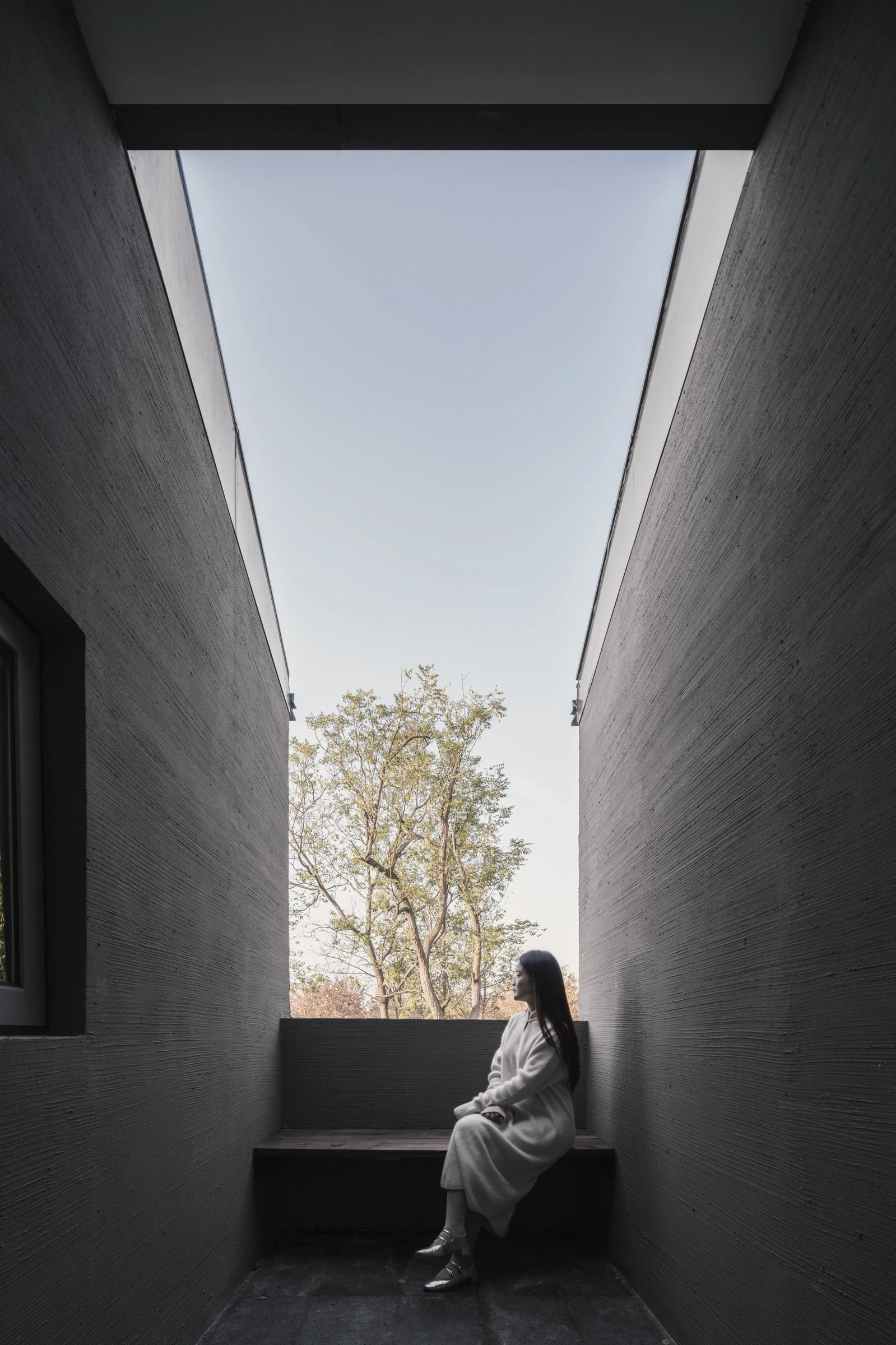 Heart Fields by Wutopia Lab, photographed by CreatAR Images — backlit shelves and timber reading tables fill the rear bookstore as a figure crosses the stone floor.