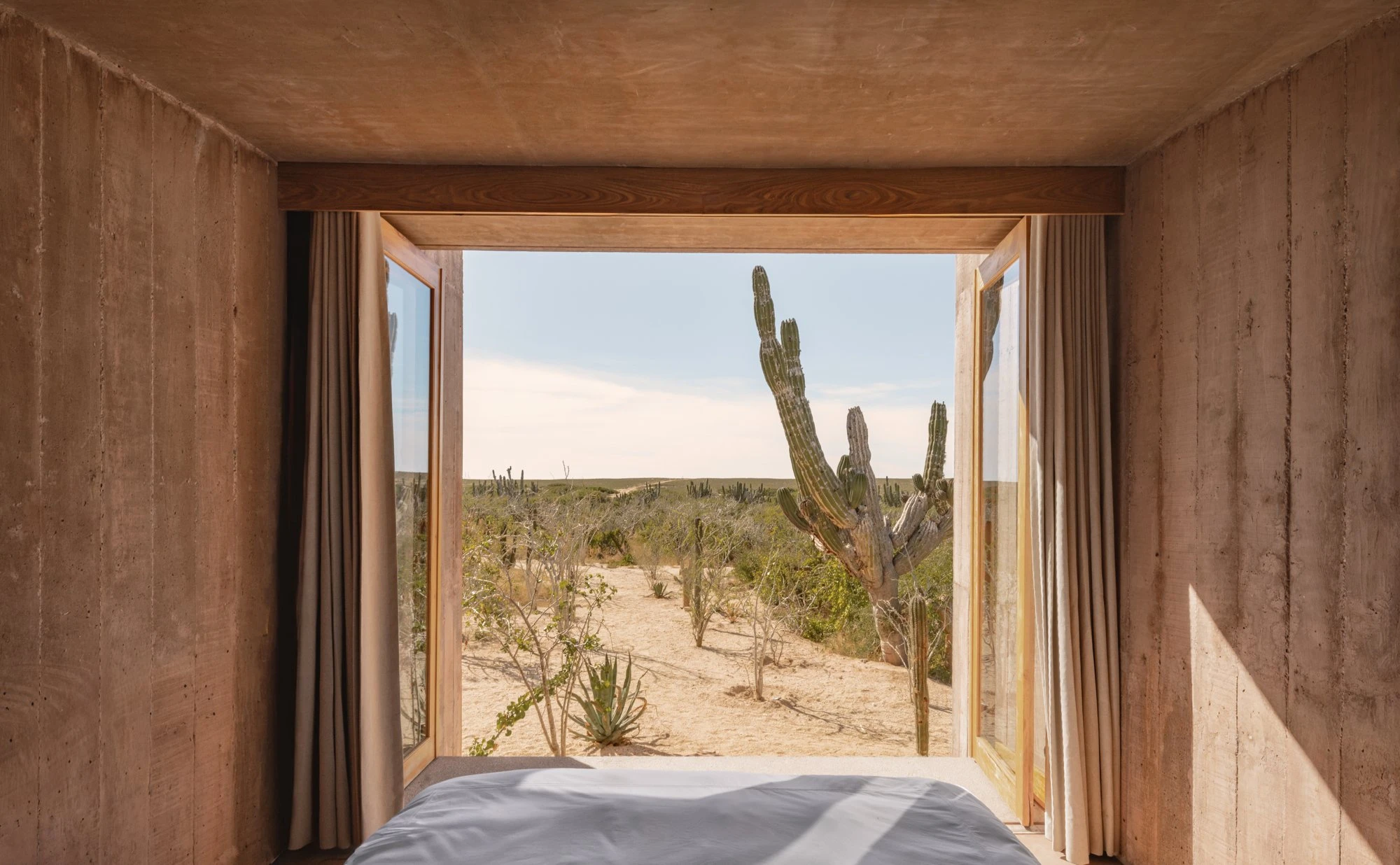 Nereidas by studiofont, photographed by @alberstudio — an oak-framed window frames a solitary cardon cactus on the desert horizon from a cabin bed.