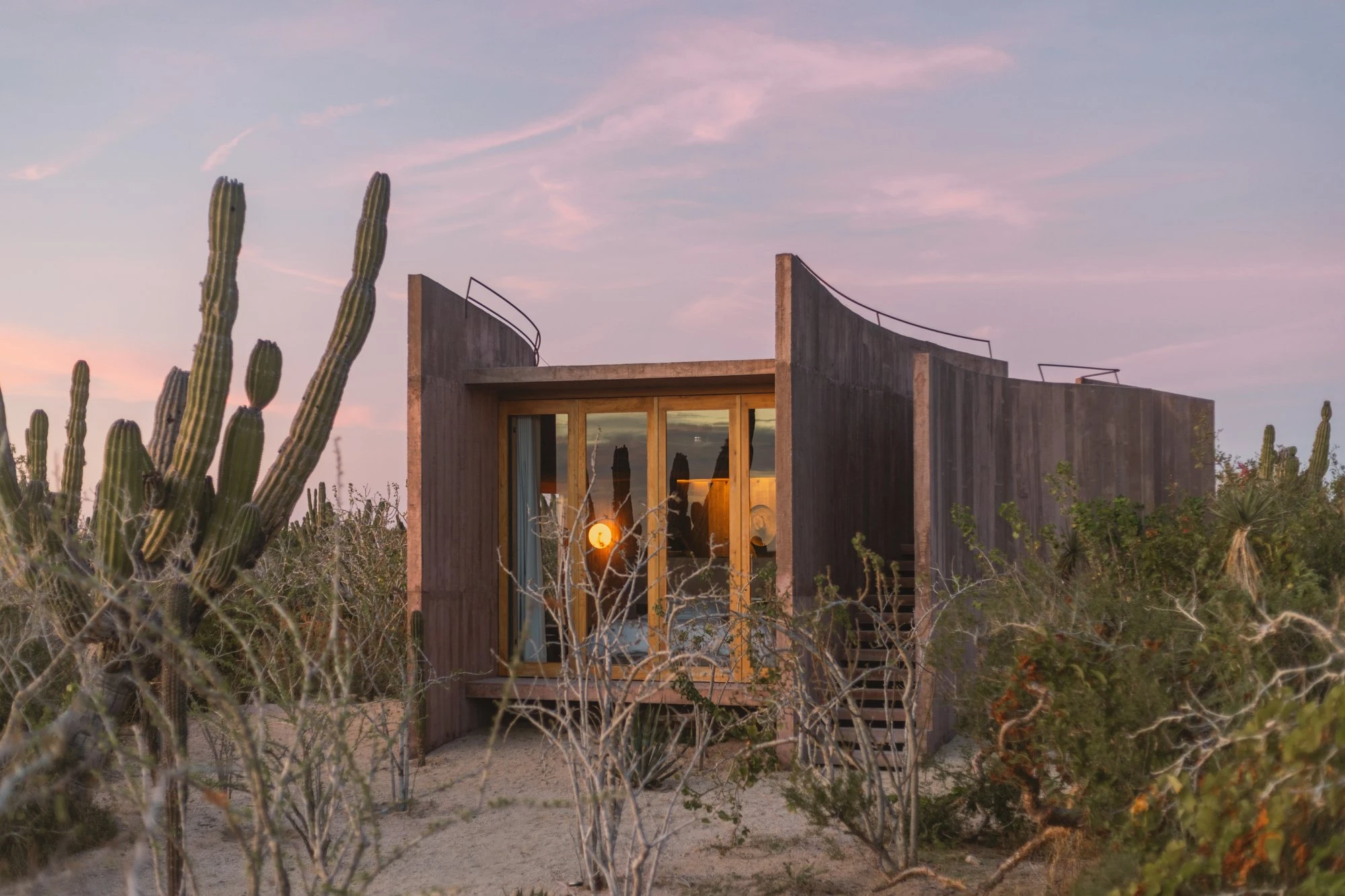 Nereidas by studiofont, photographed by @alberstudio — a board-marked concrete cabin glows from within against a pink dusk sky ringed by cardon cactus.
