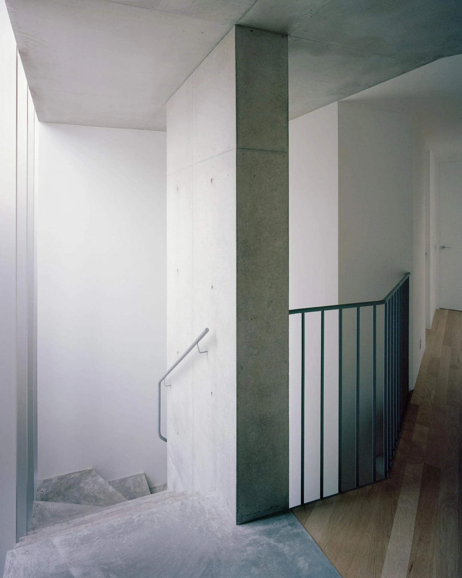 House next to Taylor Square by Anthony Gill Architects, photographed by Rory Gardiner with Colby Vexler — Stairwell where board-formed concrete meets a dark green steel balustrade, concrete treads giving way to timber above.