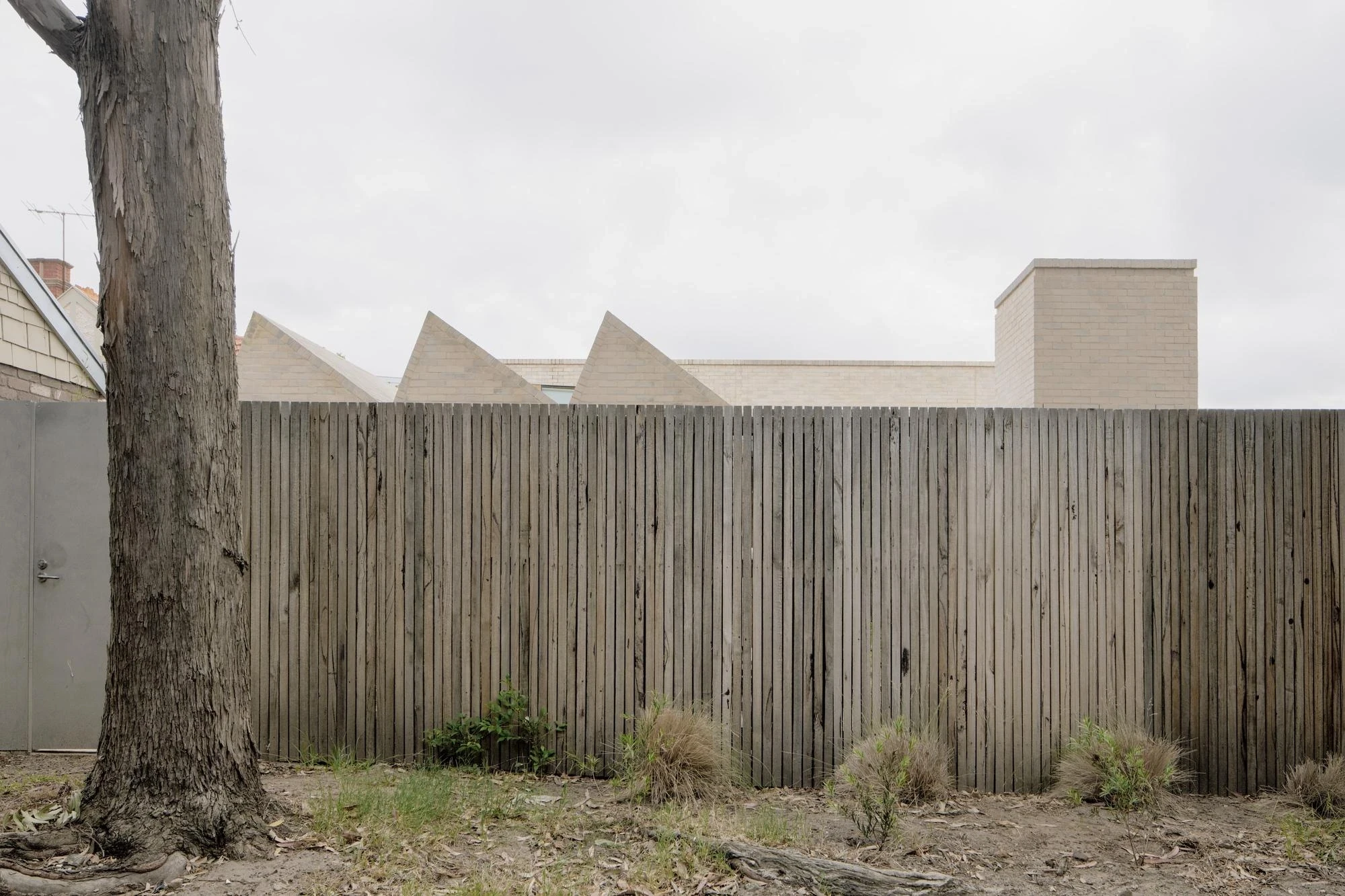 A Courtyard House by Office MIJI, photographed by Ben Hosking — a grey timber fence hides the house, with three cream-brick gables and a chimney rising above it beside a gum tree.