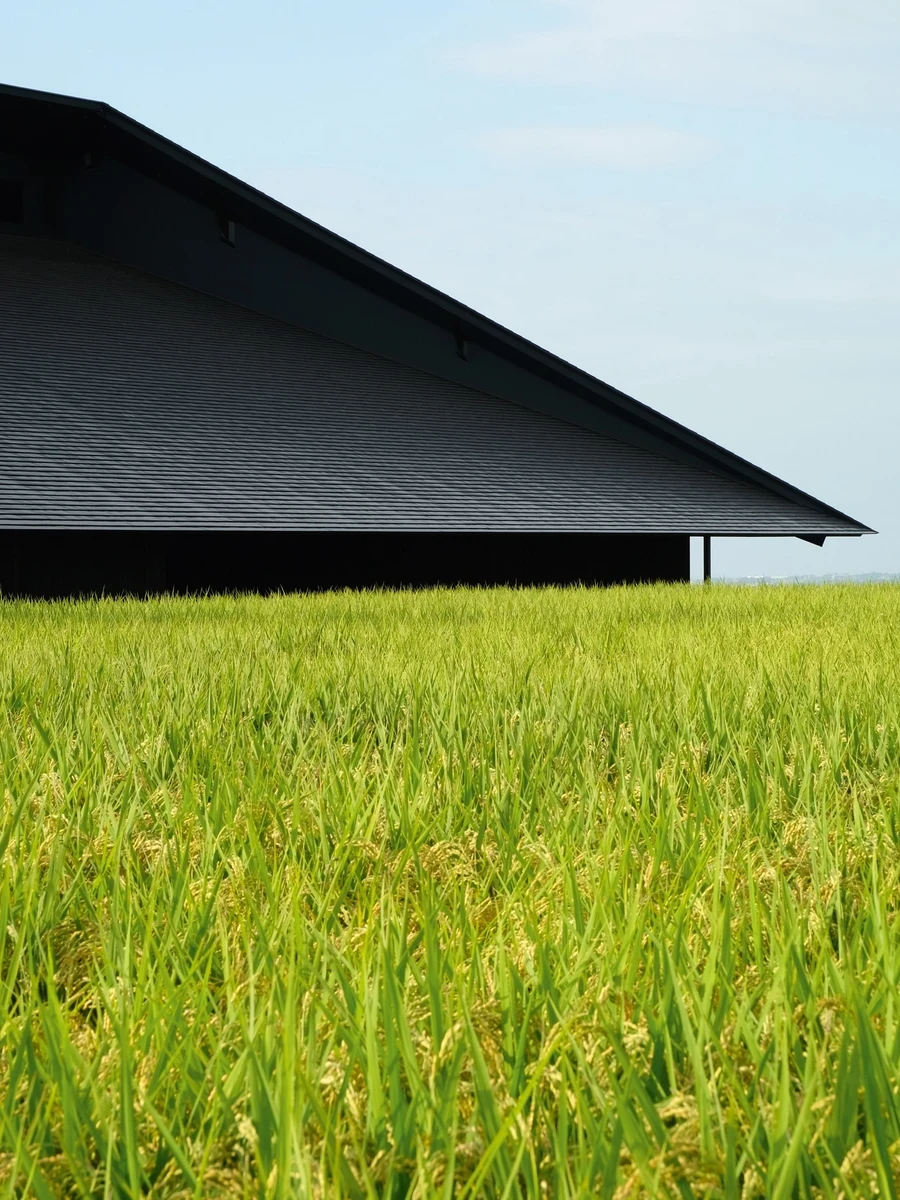 IWA Sake Brewery by Kengo Kuma & Associates — Tateyama, Japan: In the mountains above Tateyama on the Sea of Japan coast, Kengo Kuma & Associates sinks IWA Sake Brewery under one vast yakisugi roof, built around a central hearth.