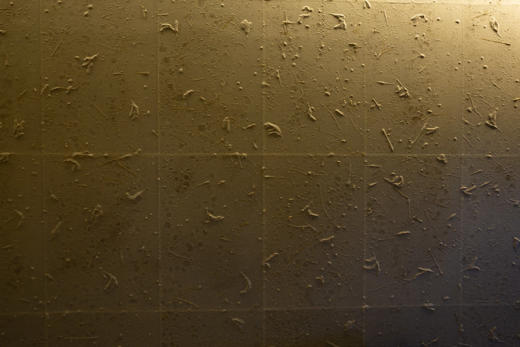 IWA Sake Brewery by Kengo Kuma & Associates, photographed by Mitsumasa Fujitsuka — A close view of the made-to-order washi wallcovering, its gold surface caught in a gradient of light and scattered with raised flecks and paper fibres