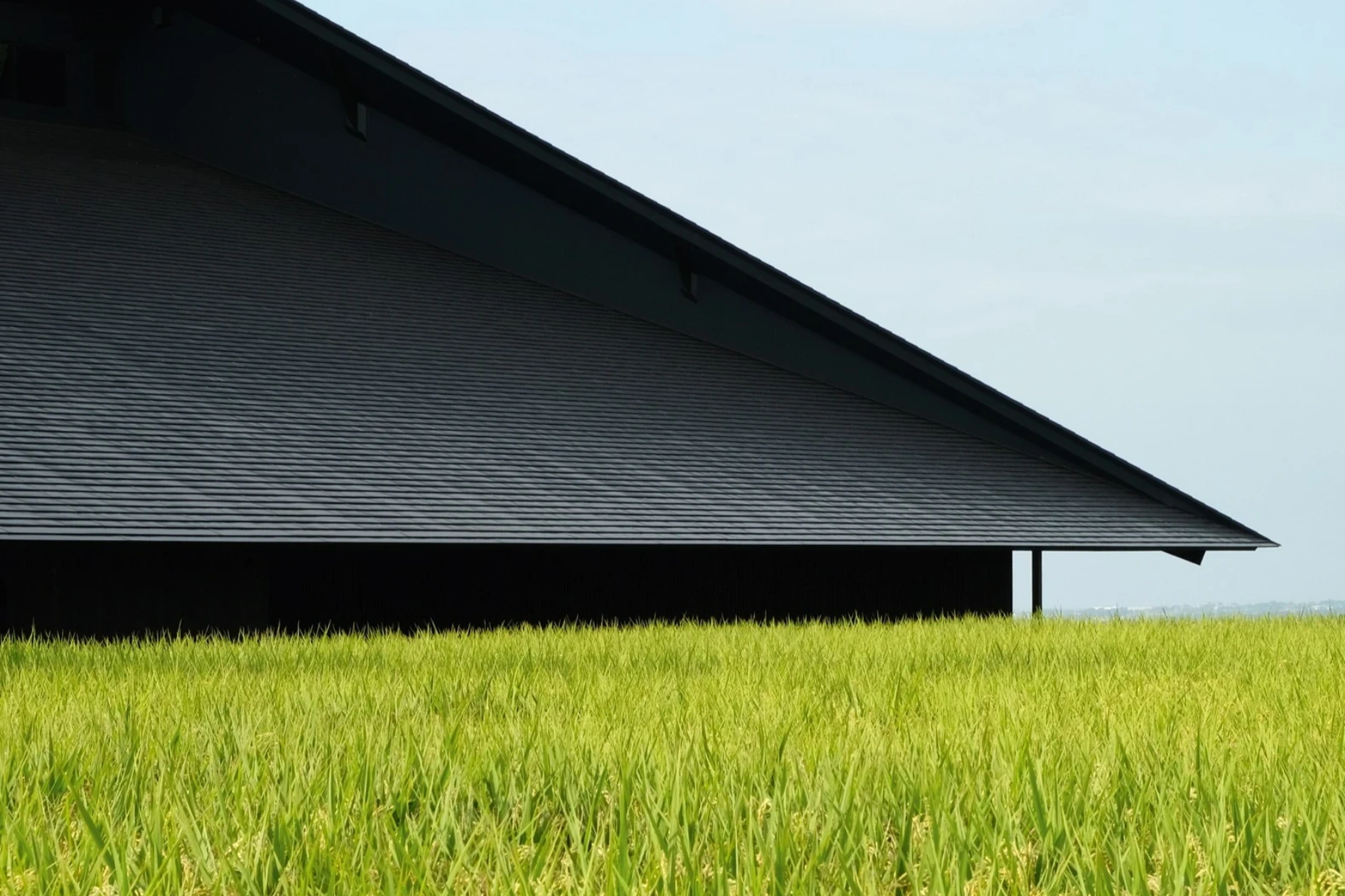 IWA Sake Brewery (Shiraiwa) by Kengo Kuma & Associates
