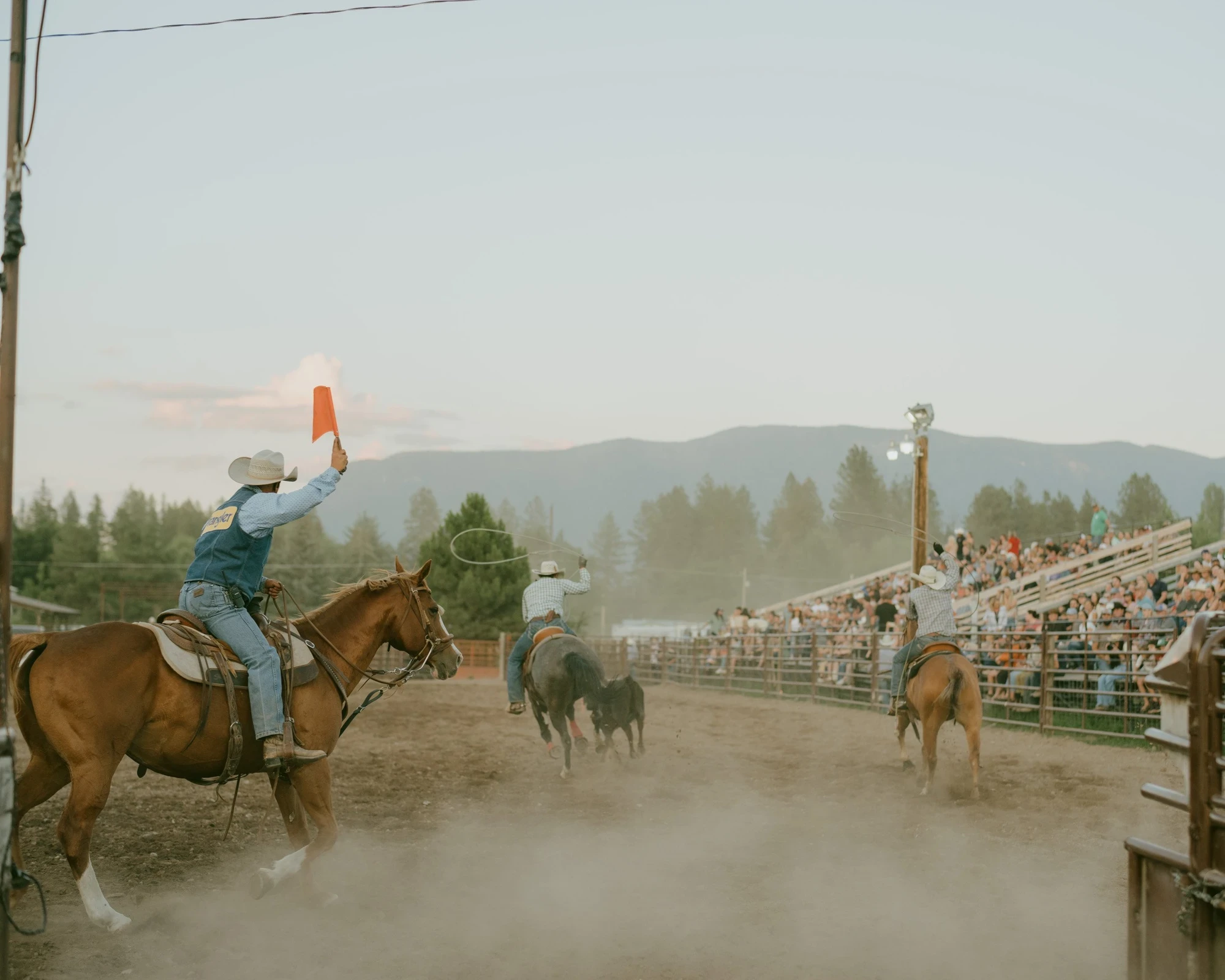 Brash by Aaron Agosto — A judge on horseback raises an orange flag as two mounted ropers work a calf, distant mountains and a full grandstand behind them