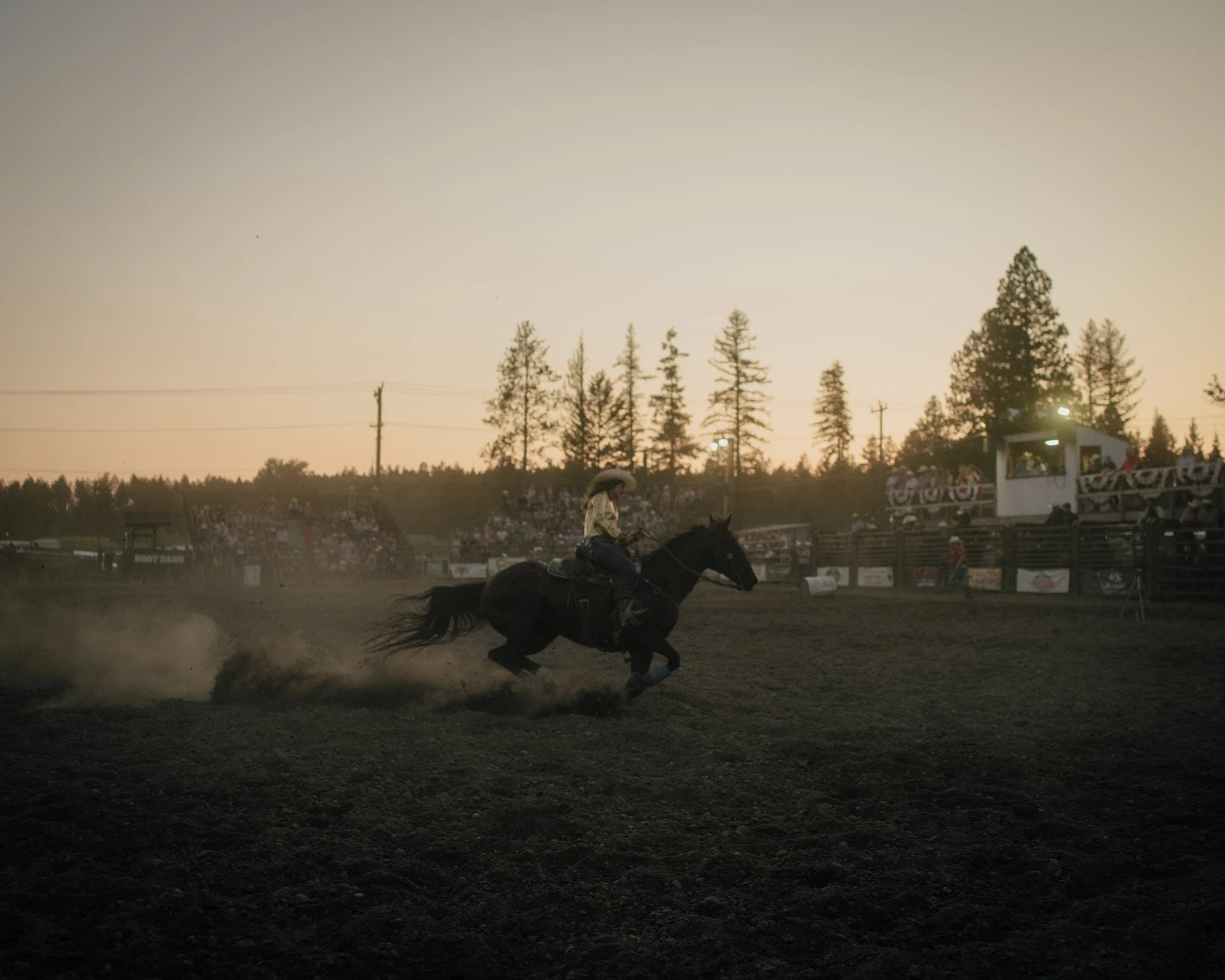 Brash by Aaron Agosto — A lone rider gallops through churned dirt at dusk, kicking up dust before a dim crowd and a lit announcer's booth ringed by pine trees