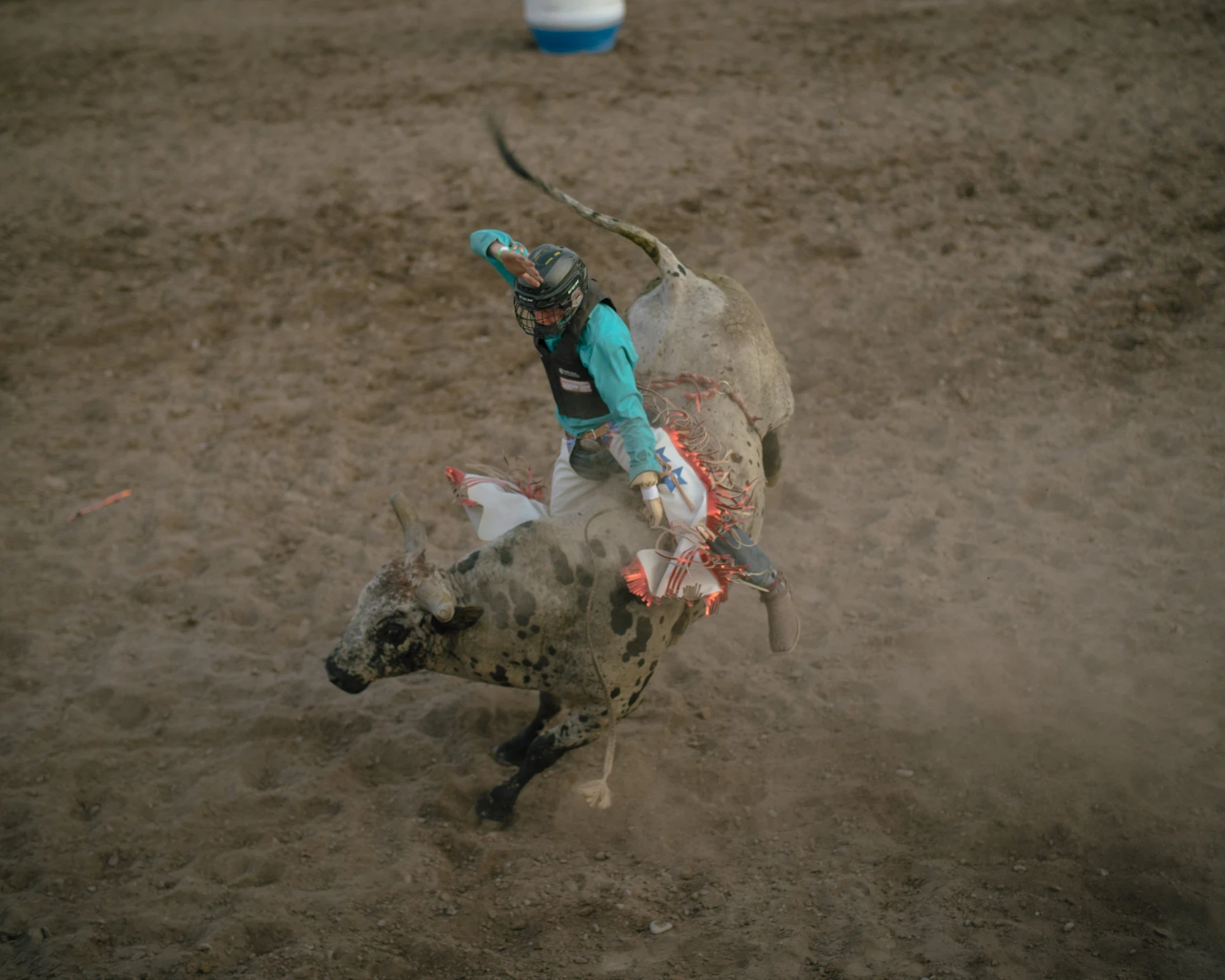 Brash by Aaron Agosto — A bull rider in teal is thrown off balance mid-buck by a spotted longhorn bull as dust rises from the arena floor