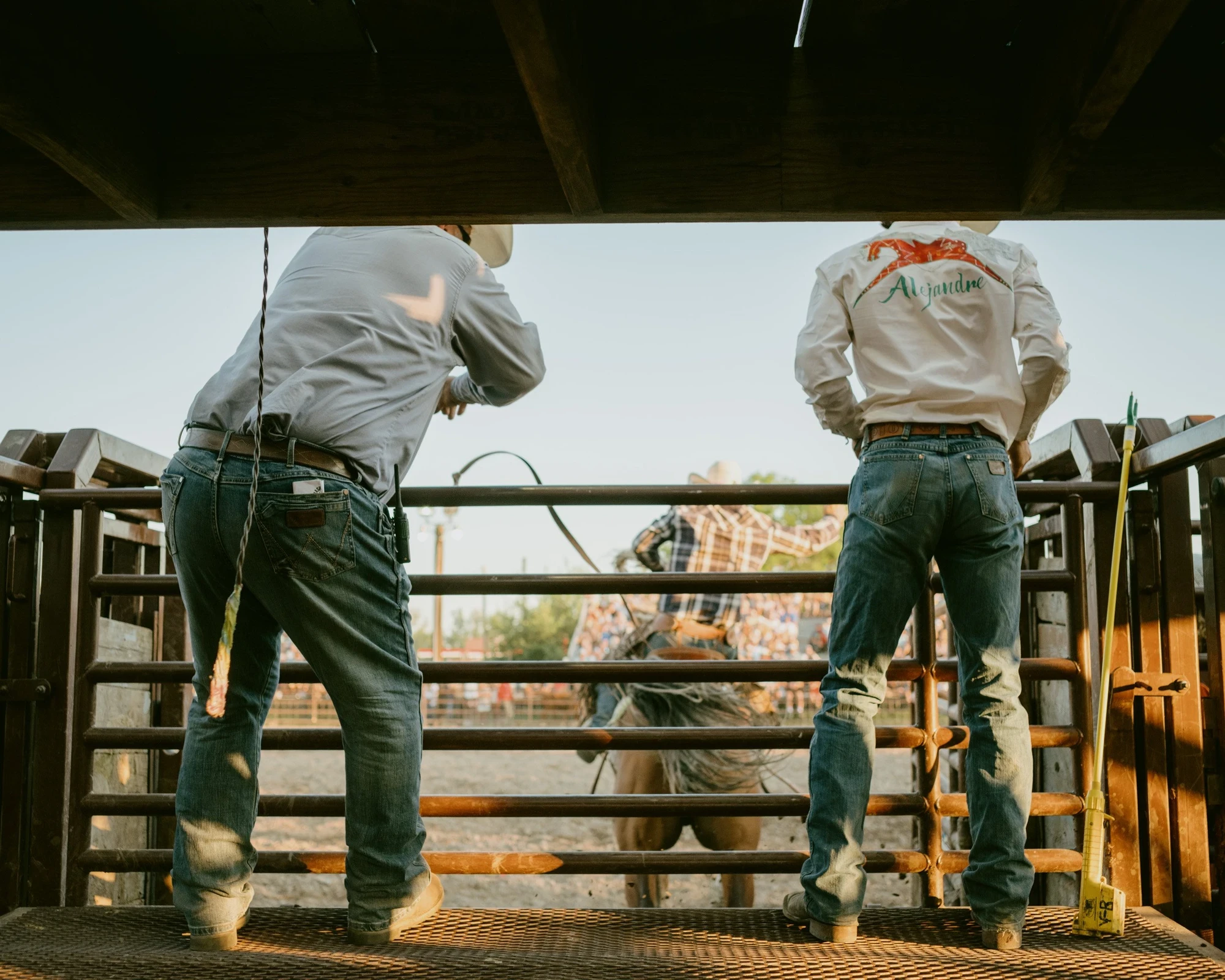 Brash by Aaron Agosto — Seen from behind, two men in cowboy hats stand on a metal chute platform watching a rider work a horse in the sunlit arena beyond