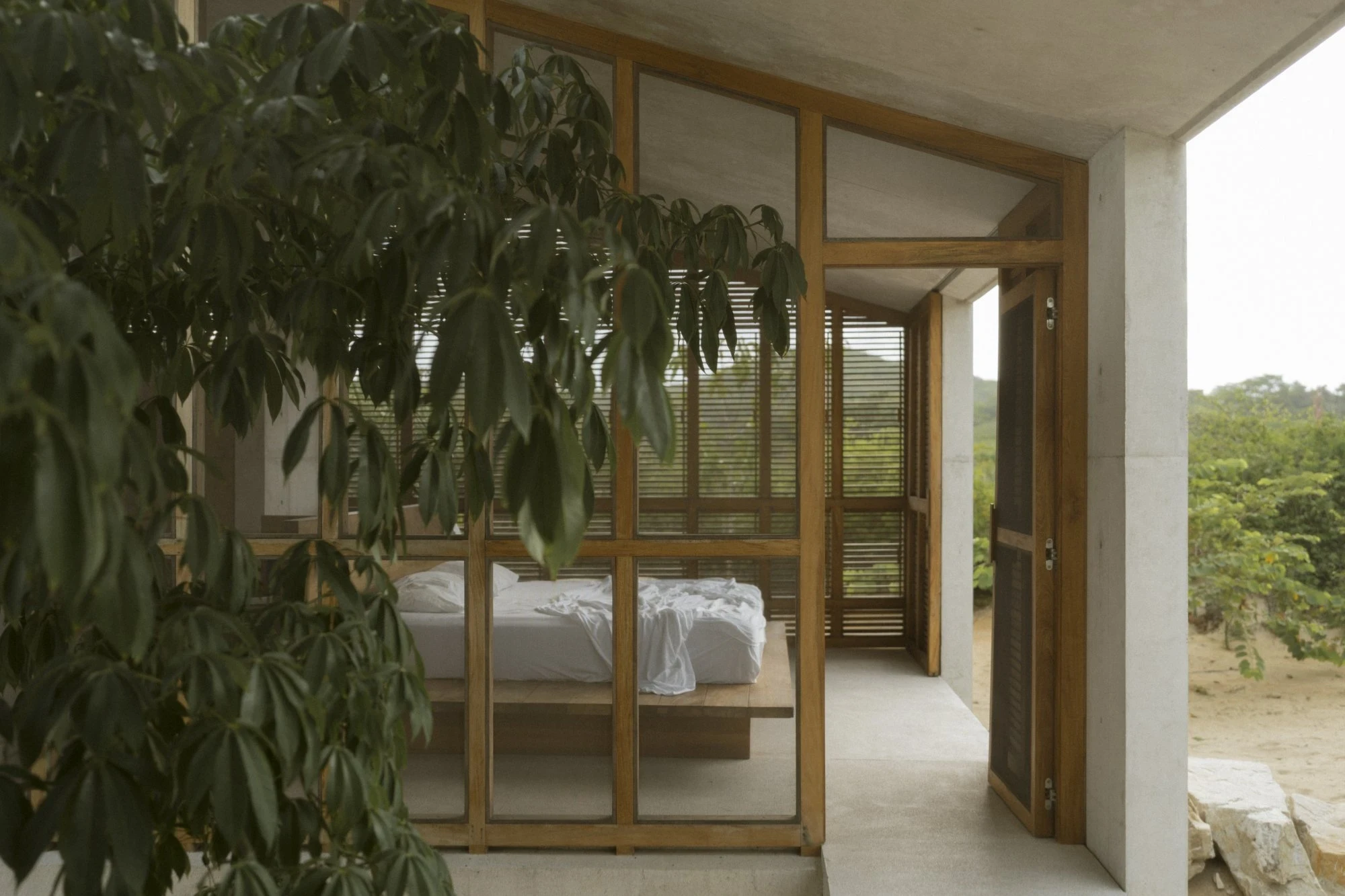 Casa Viento by Aranza De Ariño, photographed by Diego Orvaños — a glazed timber-framed bedroom volume seen from a concrete walkway, foliage crossing the frame.