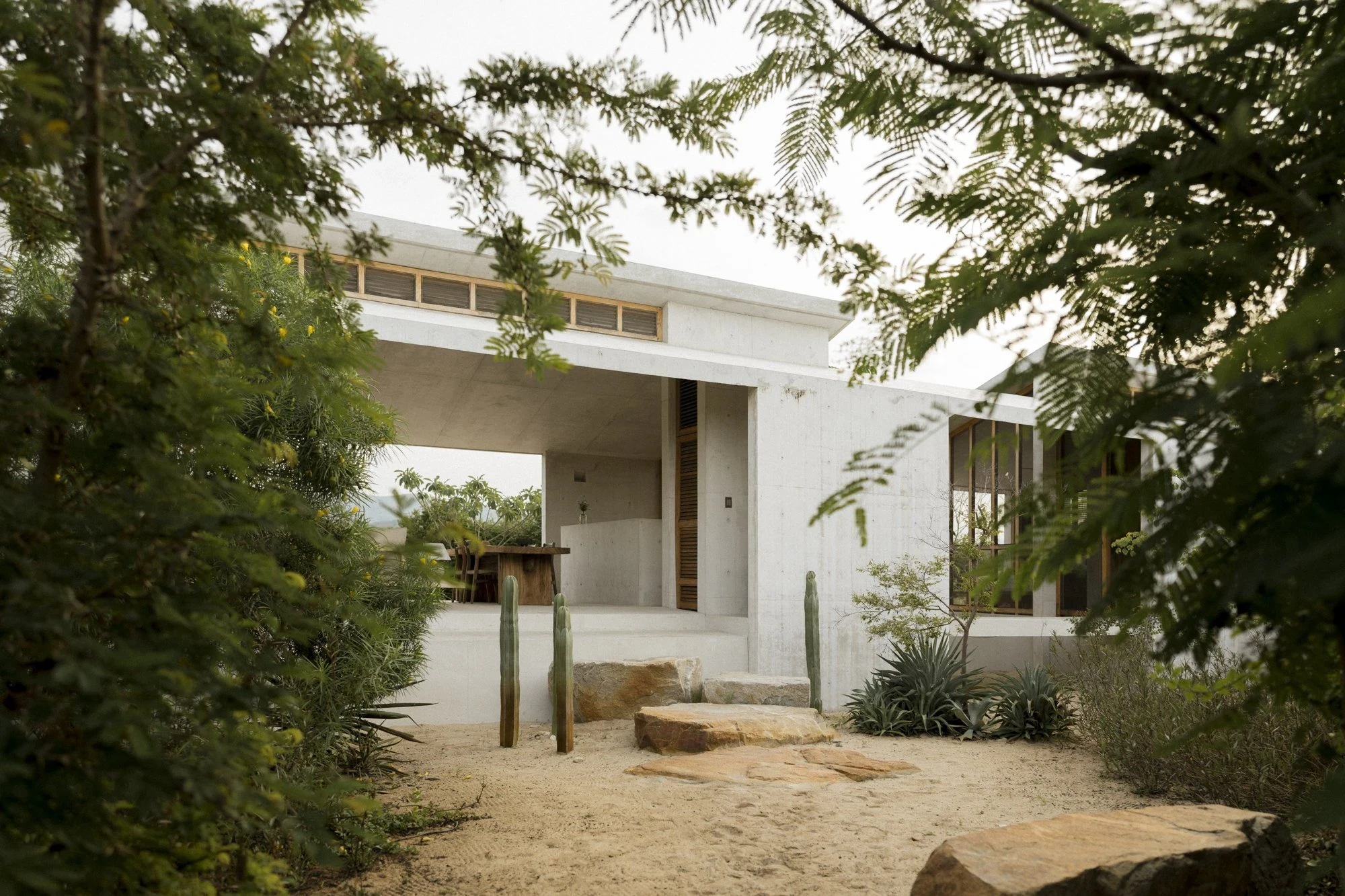 Casa Viento by Aranza De Ariño, photographed by Diego Orvaños — a covered concrete pavilion frames a shaded kitchen and cactus garden, seen through overhanging branches.
