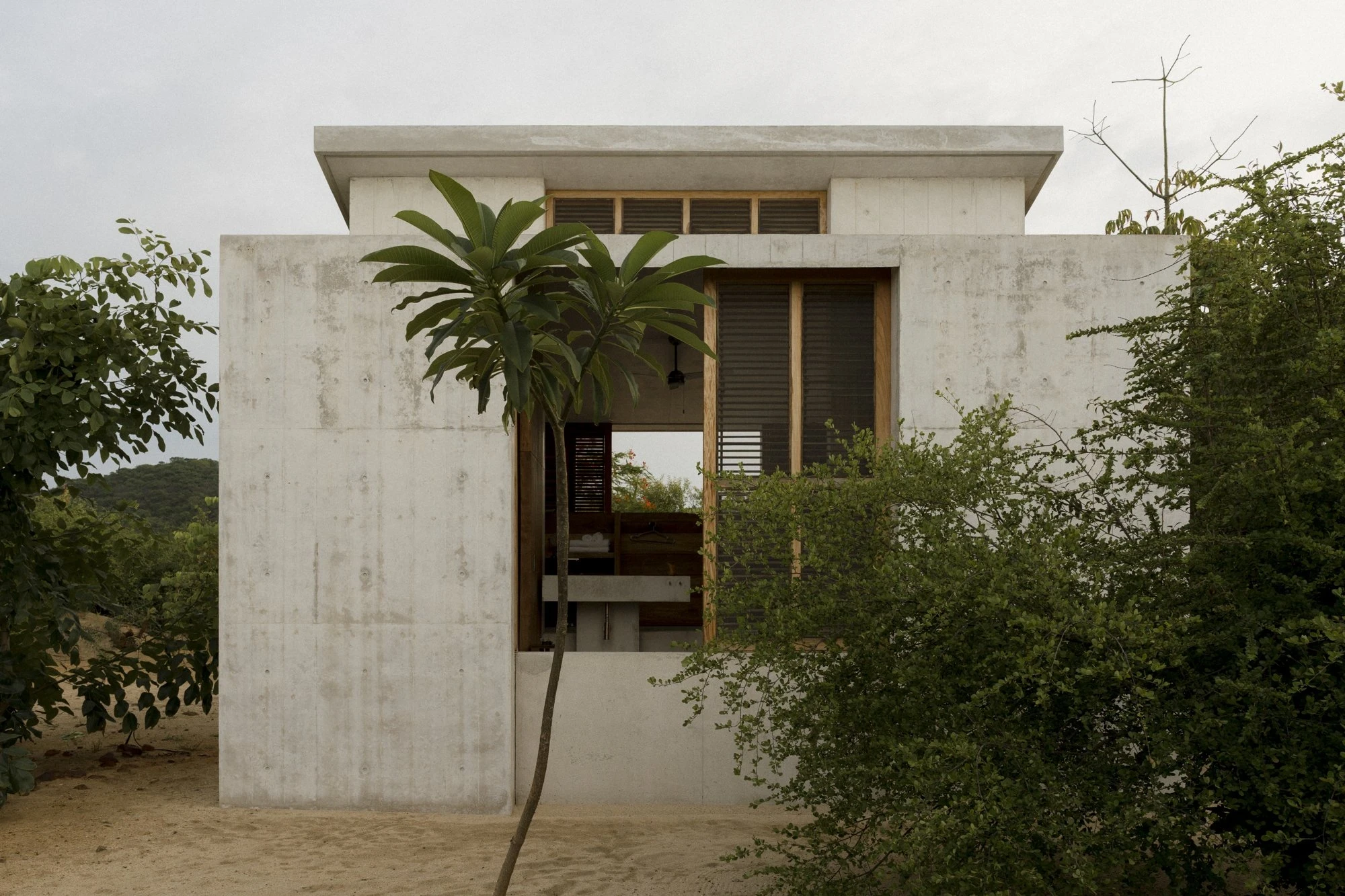 Casa Viento by Aranza De Ariño, photographed by Diego Orvaños — a compact concrete bedroom pavilion with a timber-framed opening, a slender palm rising in front.