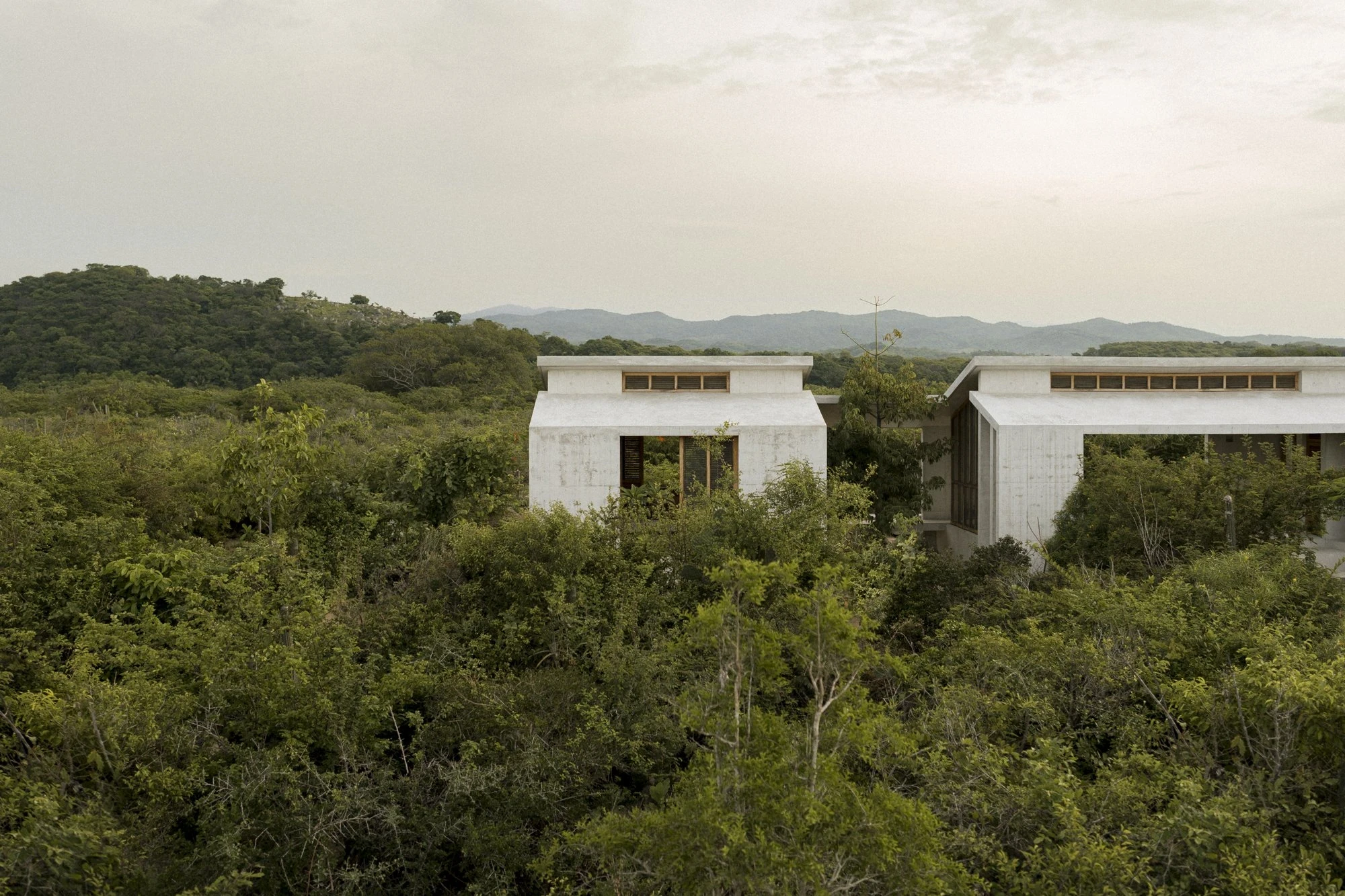 Casa Viento by Aranza De Ariño, photographed by Diego Orvaños — two concrete volumes seen across the treetops at dusk, the Sierra behind under a soft sky.