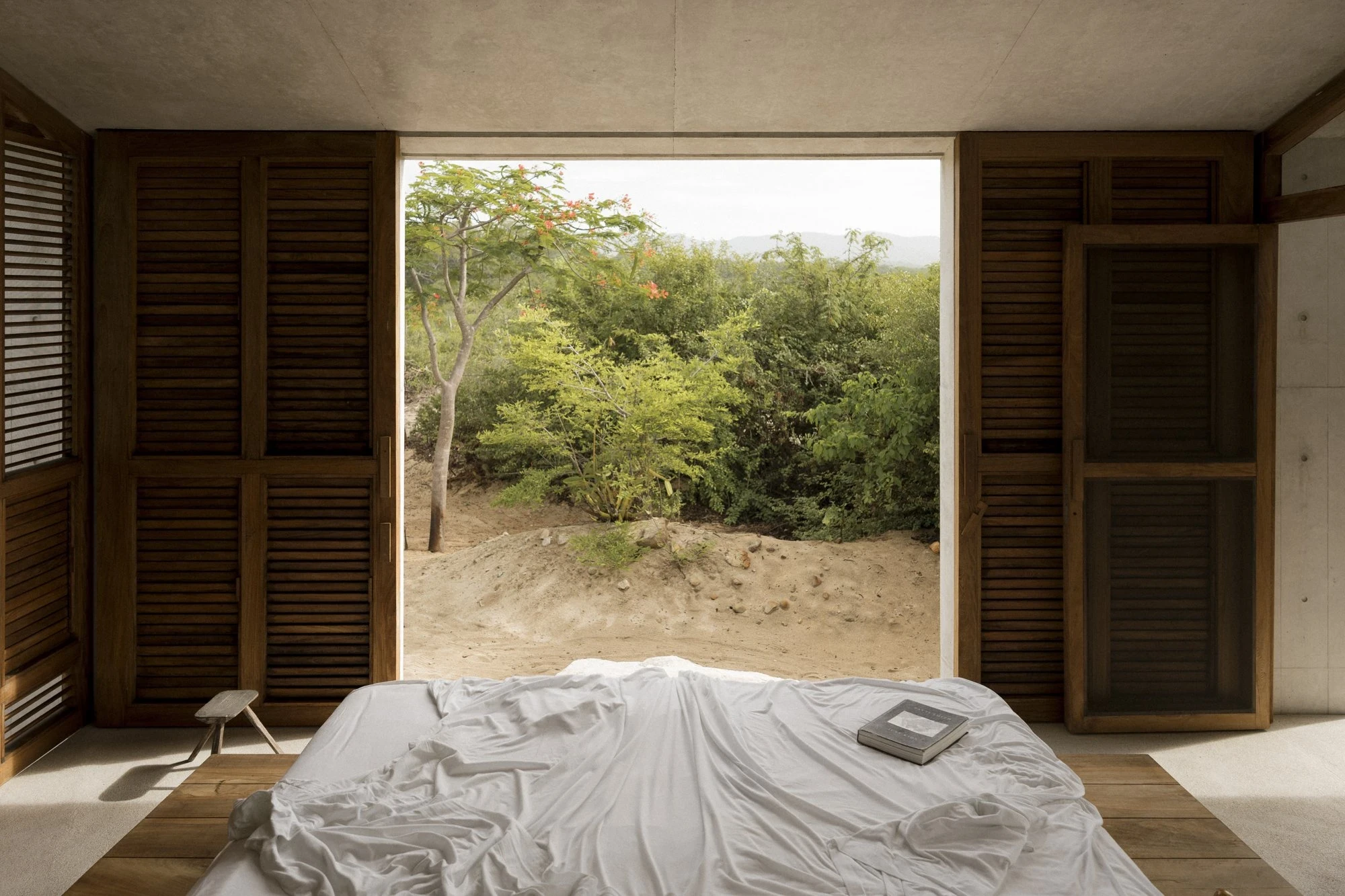 Casa Viento by Aranza De Ariño, photographed by Diego Orvaños — a low bed faces a full-height opening onto a flowering flamboyant tree, flanked by dark louvered shutters.