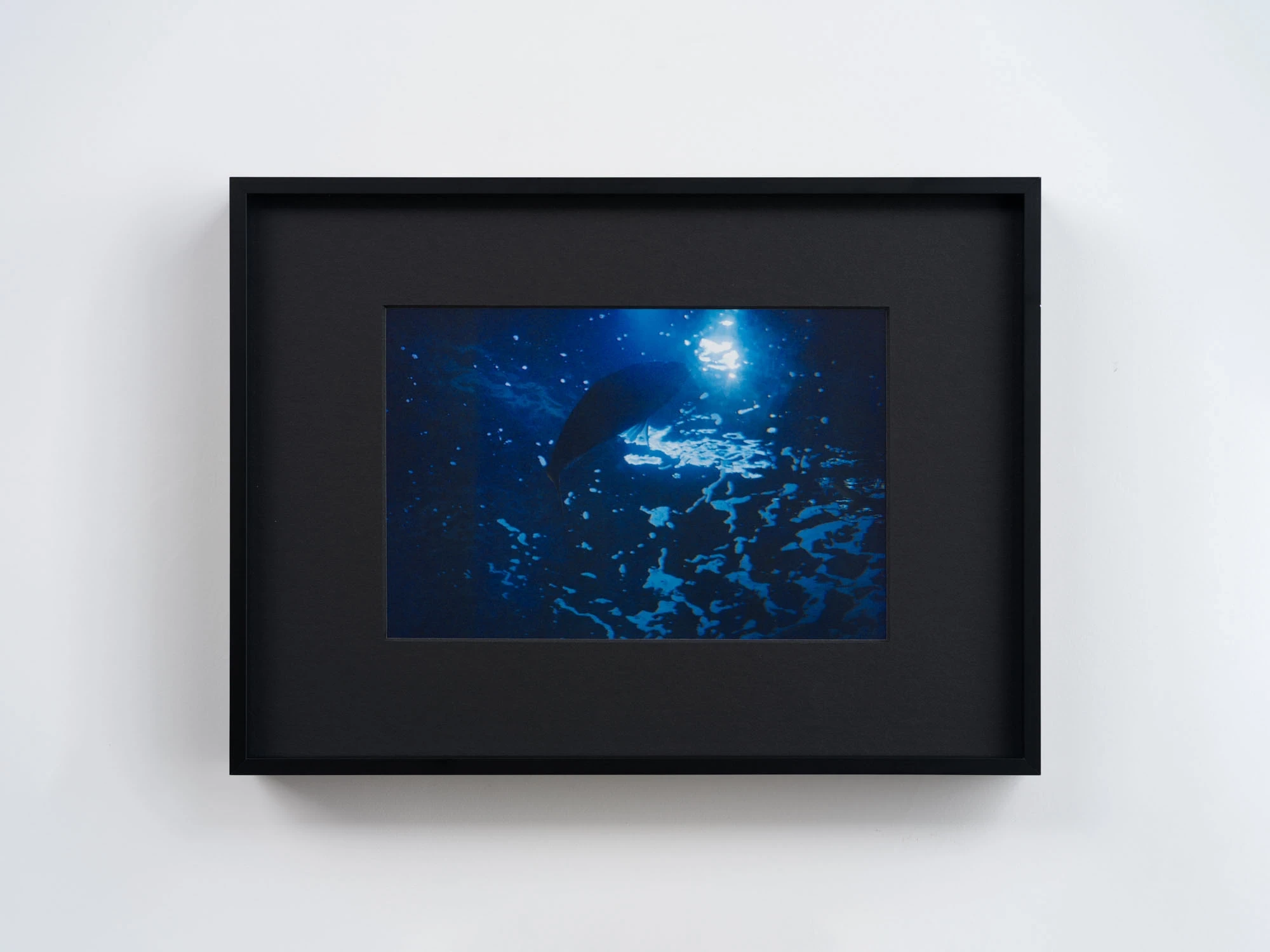 Spillover by Ann Zhao, photographed by Felix S.C. Wong — A deep blue underwater colour photograph, light breaking across the surface above a dark submerged form