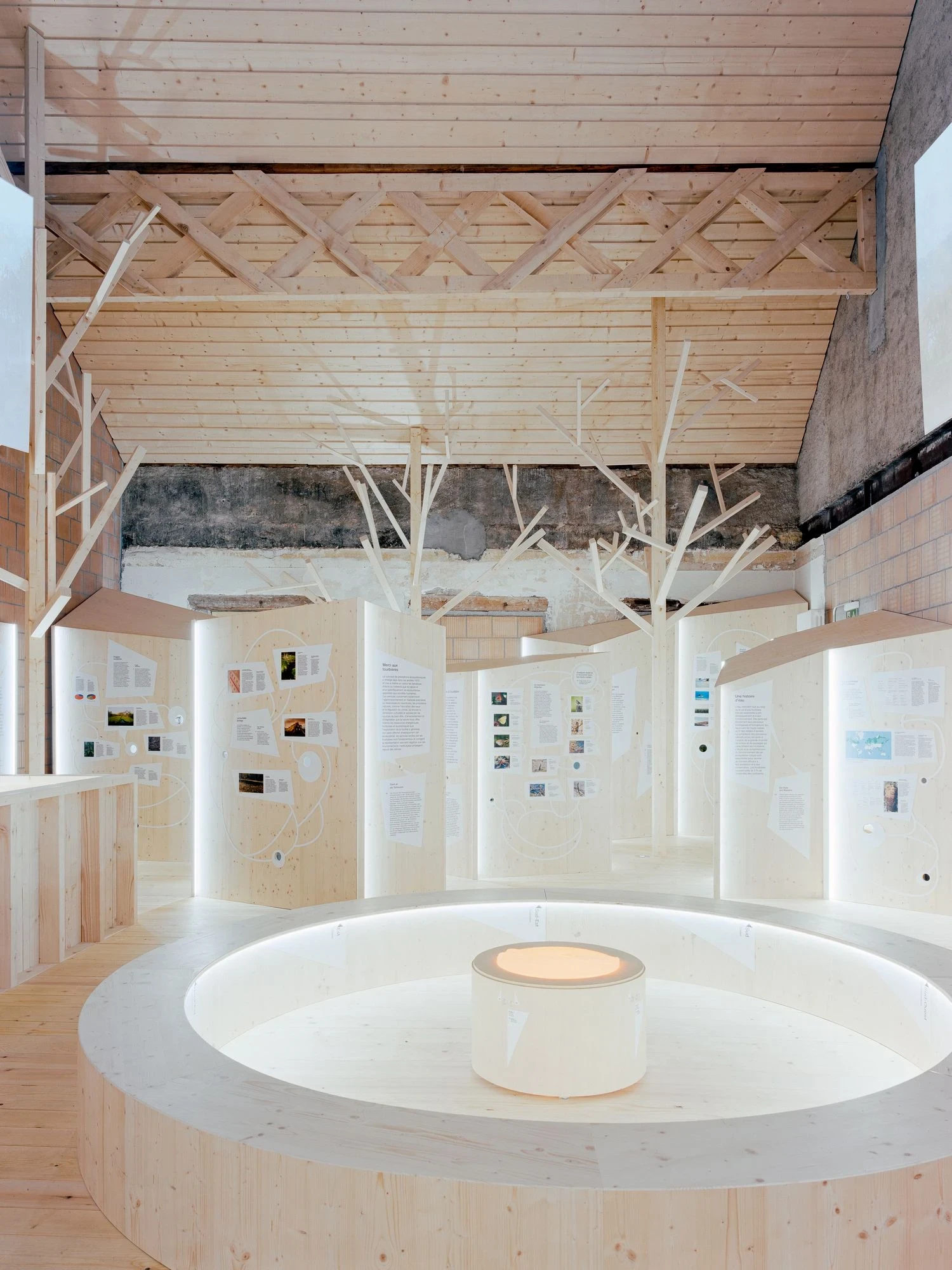 Maison de la Tourbiere by Frundgallina, photographed by Olivier Di Giambattista — The double-height interpretation hall, pale spruce partitions and cut-out tree forms rising toward exposed roof trusses and a band of old plaster left raw.