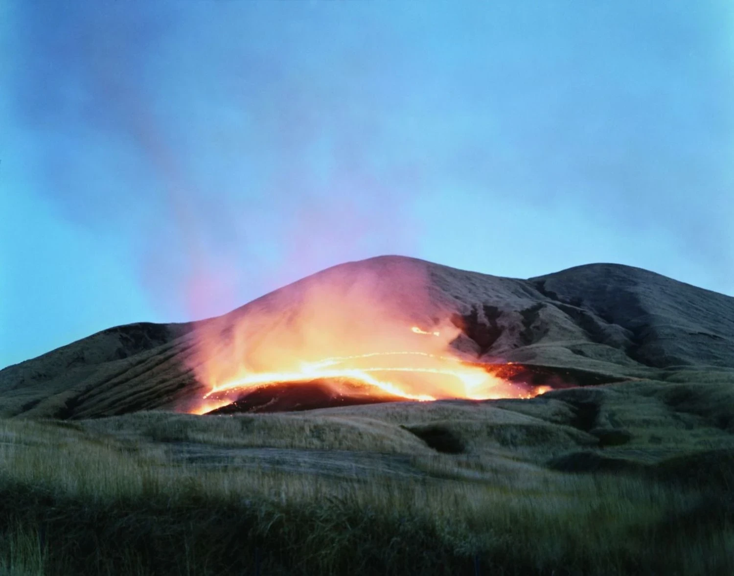 Illuminance by Rinko Kawauchi -- A small green tree frog rests on the back of an open hand