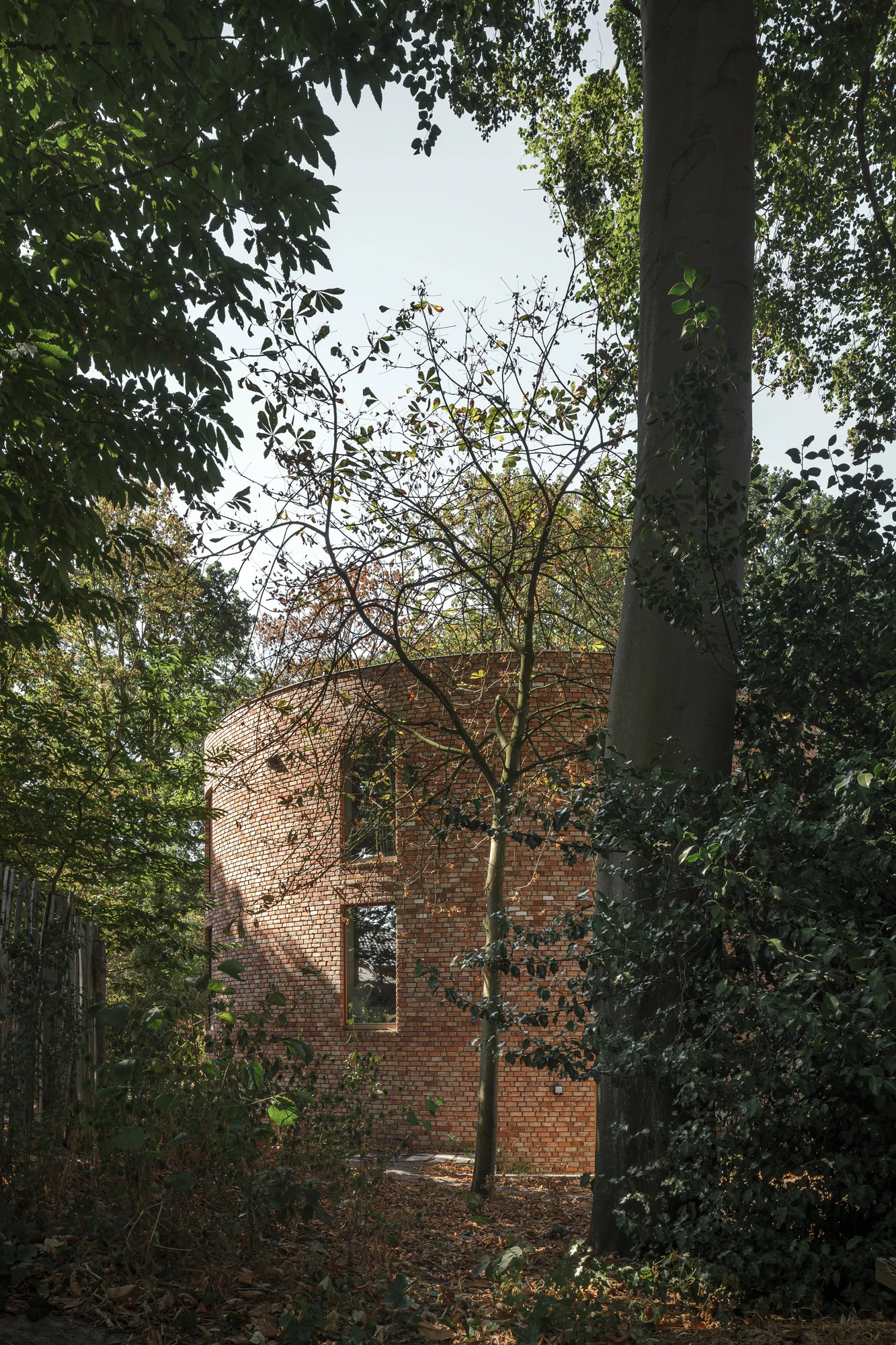 GjG House by BLAF Architecten, photographed by BLAF Architecten — The house glimpsed from the woodland path, its curved brick wall half hidden behind trunks, ivy and a scatter of fallen leaves.