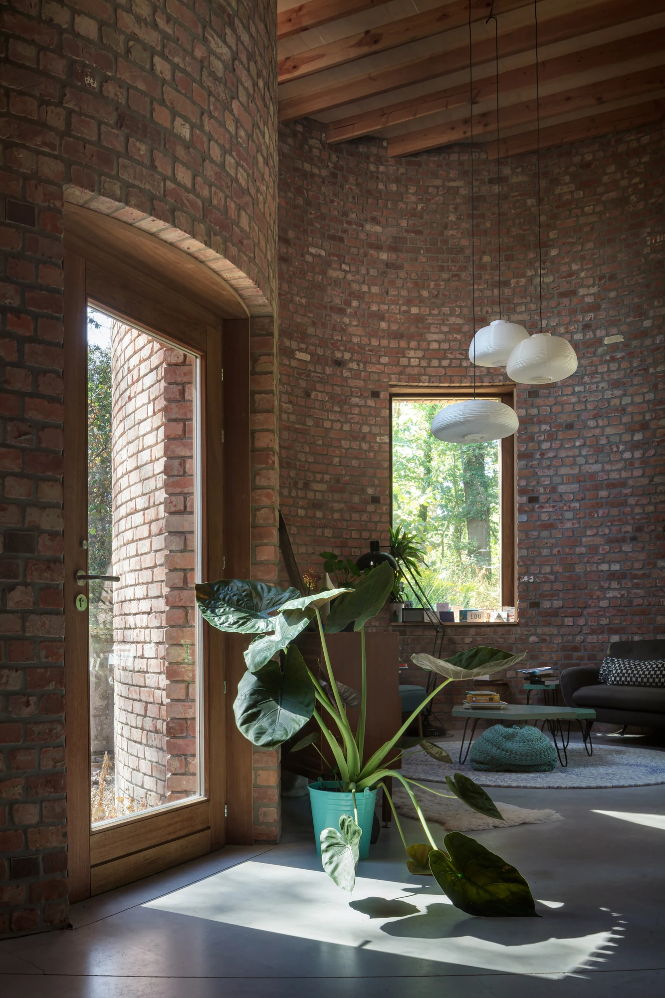 GjG House by BLAF Architecten, photographed by BLAF Architecten — Interior with a timber-framed glass door set into the curved brick wall, sunlight spilling across the concrete floor past a large alocasia in a turquoise bucket.