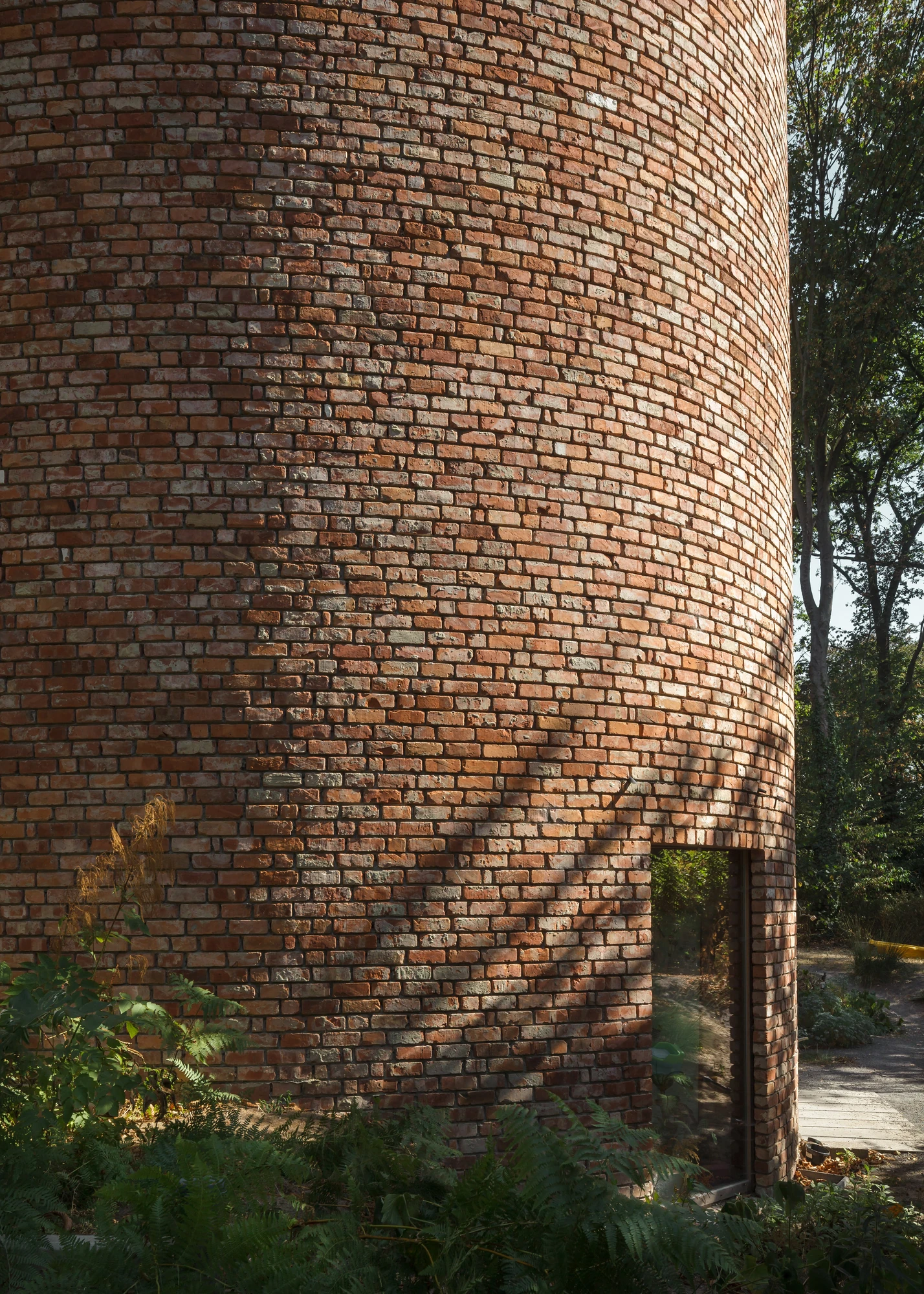 GjG House by BLAF Architecten, photographed by BLAF Architecten — Detail of the curving brick wall in low sun, ferns at its base and a full-height window slot cut at the turn of the curve.
