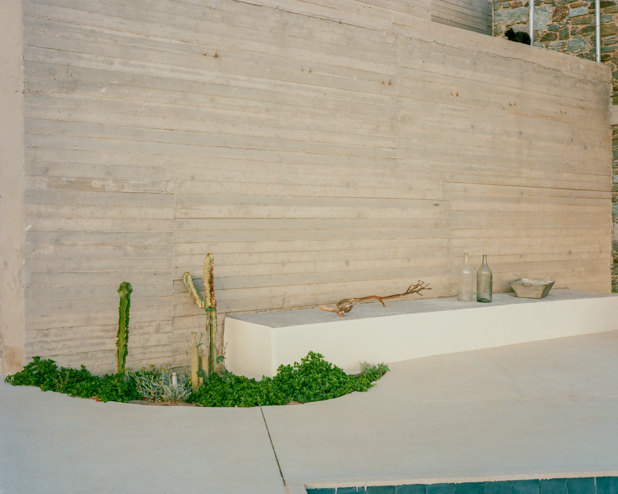 Tinos House by Kelly Spanou, photographed by Lorenzo Zandri — A board-formed concrete retaining wall with a white bench running along its base, cacti and ground cover breaking through the concrete terrace, the pool edge in the foreground.