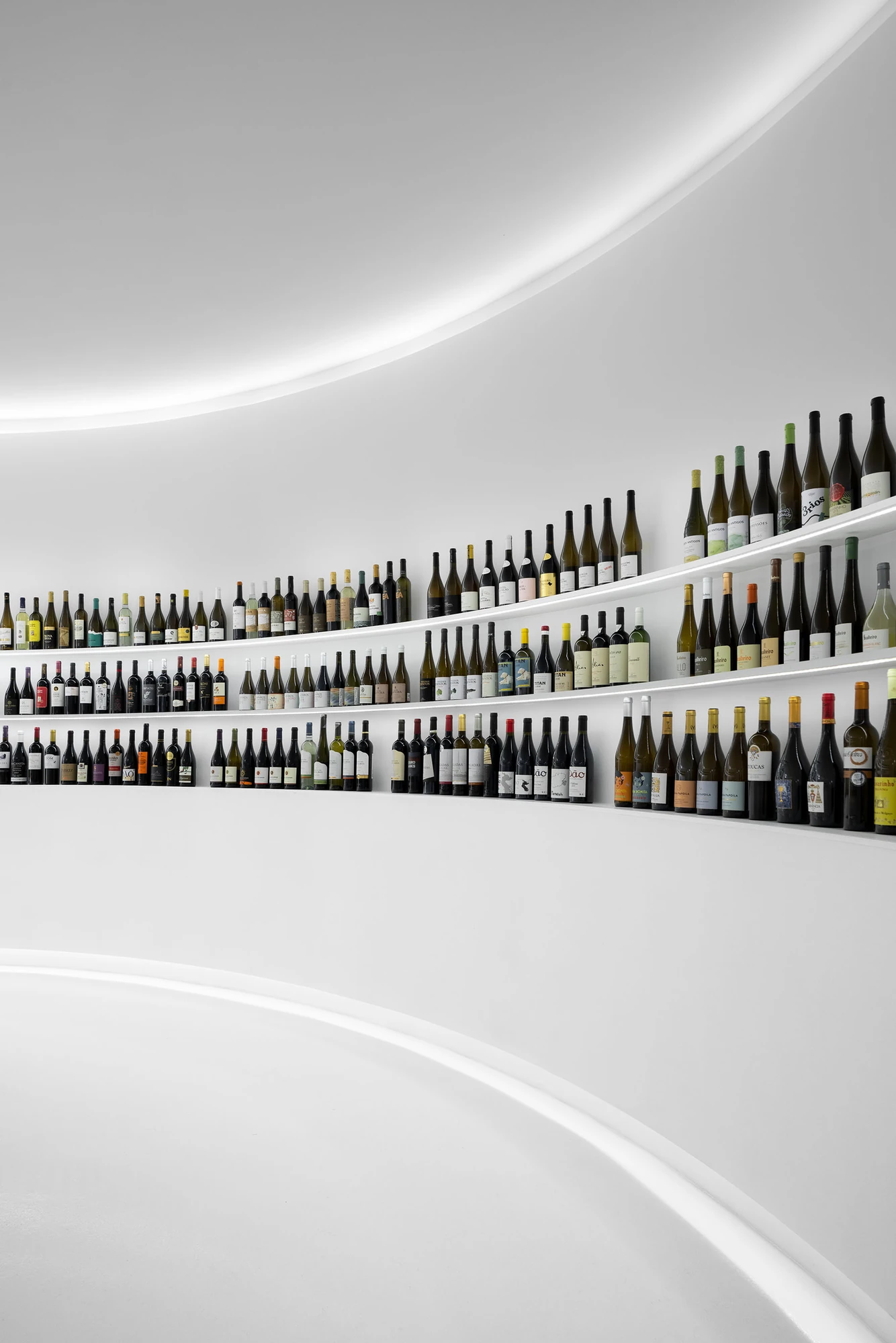 Portugal Vineyards Concept Store by Porto Architects, photographed by Ivo Tavares Studio — The shelves climb as they curve, bottles stepping upward in three ranks against the white wall with the cove light arcing overhead.