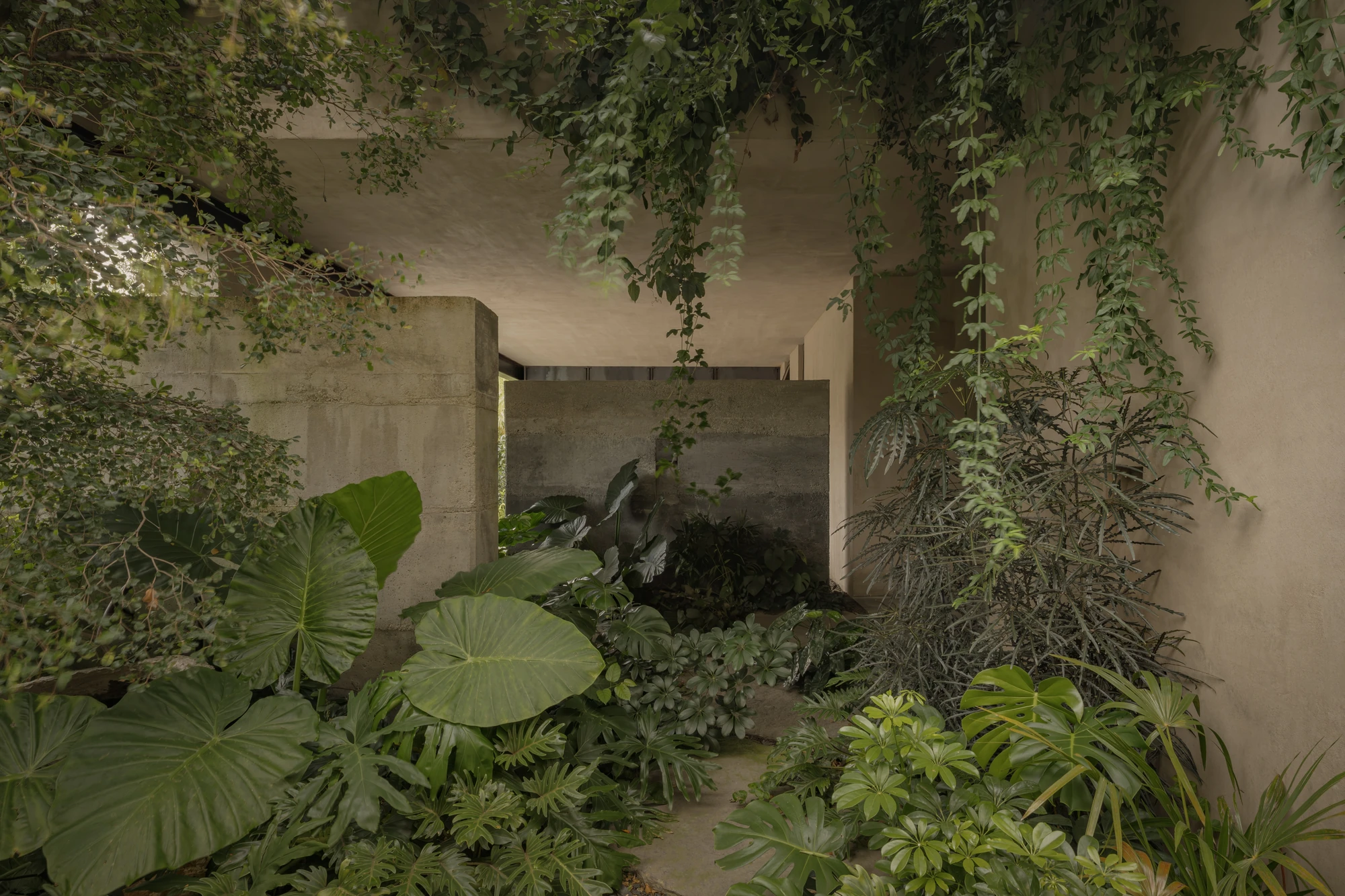 Casa Azaleas by V Taller