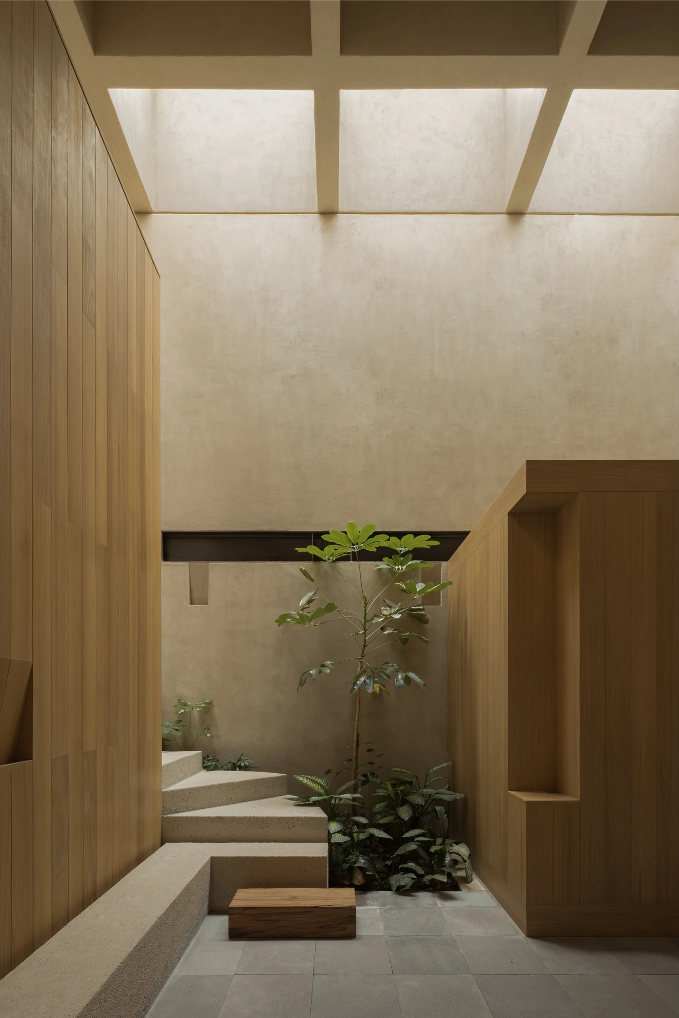 Casa Azaleas by V Taller, photographed by Funciono — Aggregate concrete steps rise between oak joinery toward a planted bed, a solid timber block set on the stone floor as an informal seat.