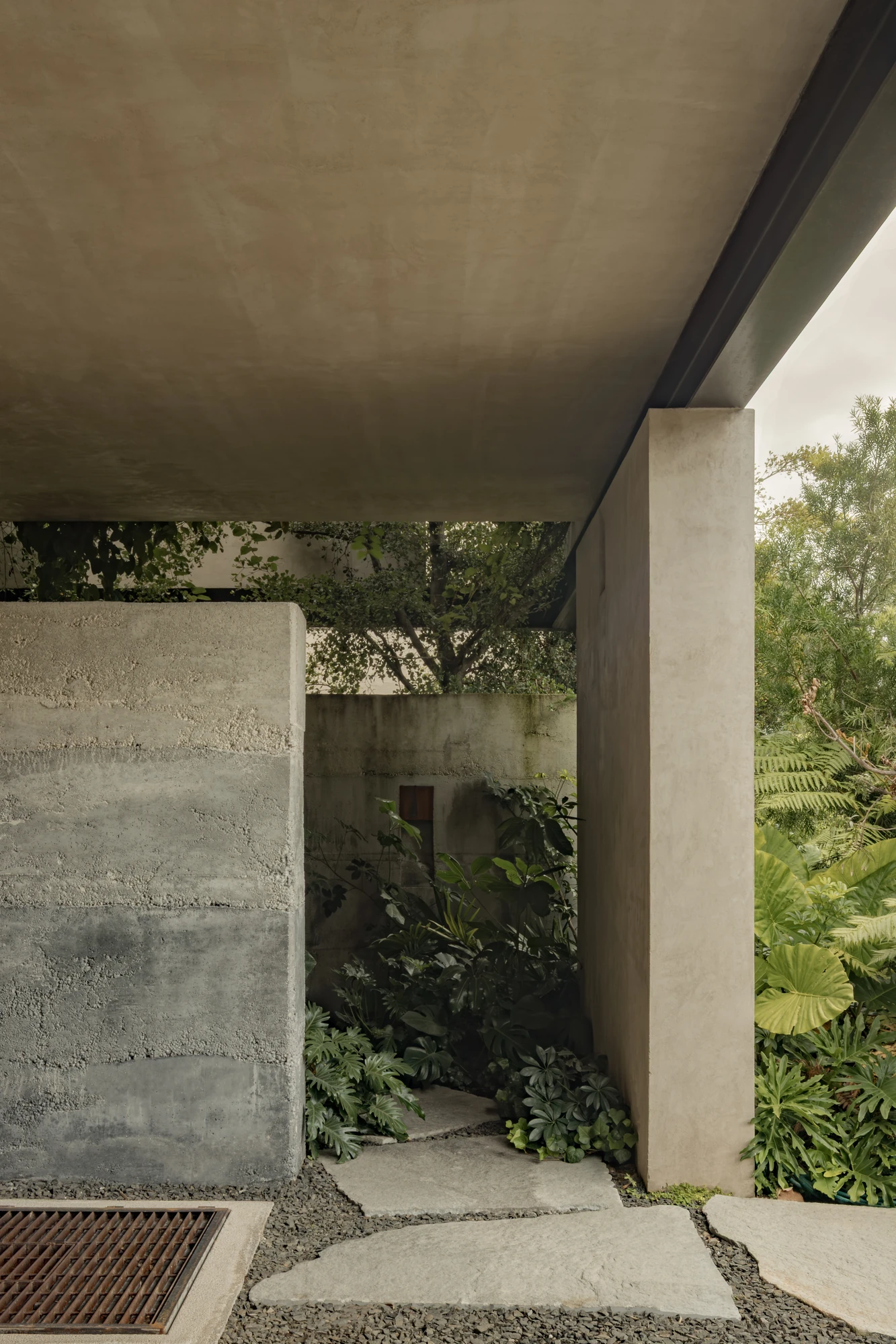 Casa Azaleas by V Taller, photographed by Funciono — Rammed concrete with visible horizontal lift lines meets a smooth plaster pier, a pocket of philodendron and monstera in the gap between them.