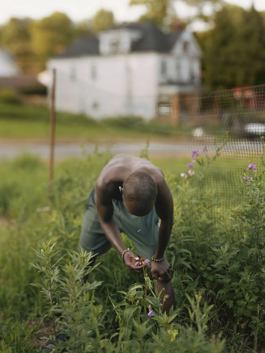 A Pound of Pictures by Alec Soth, photographed by Alec Soth — A shirtless young man bends into waist-high scrub to cup a coneflower, a white clapboard house on the rise behind him, from A Pound of Pictures by Alec Soth.