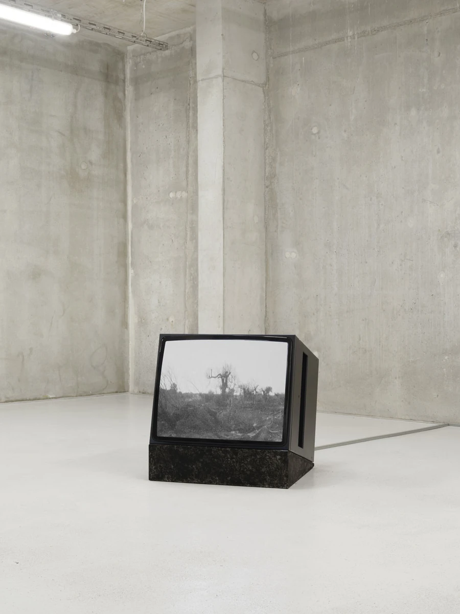 Apophenia by Galerie Molitor, photographed by Marjorie Brunet-Plaza — A boxy black monitor tilted on a block of speckled granite shows black and white scrubland with a single bare tree.