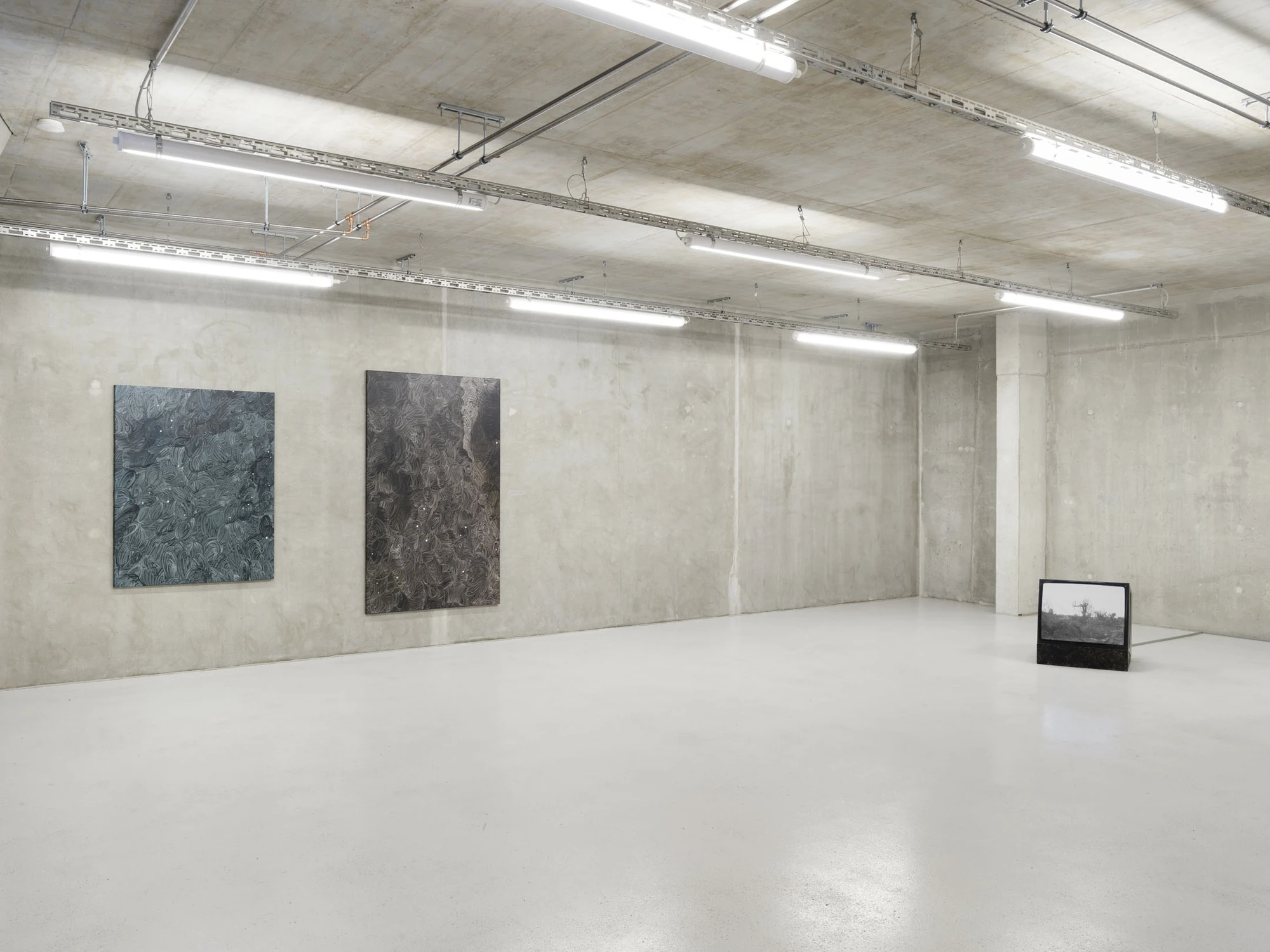 Apophenia at Galerie Molitor