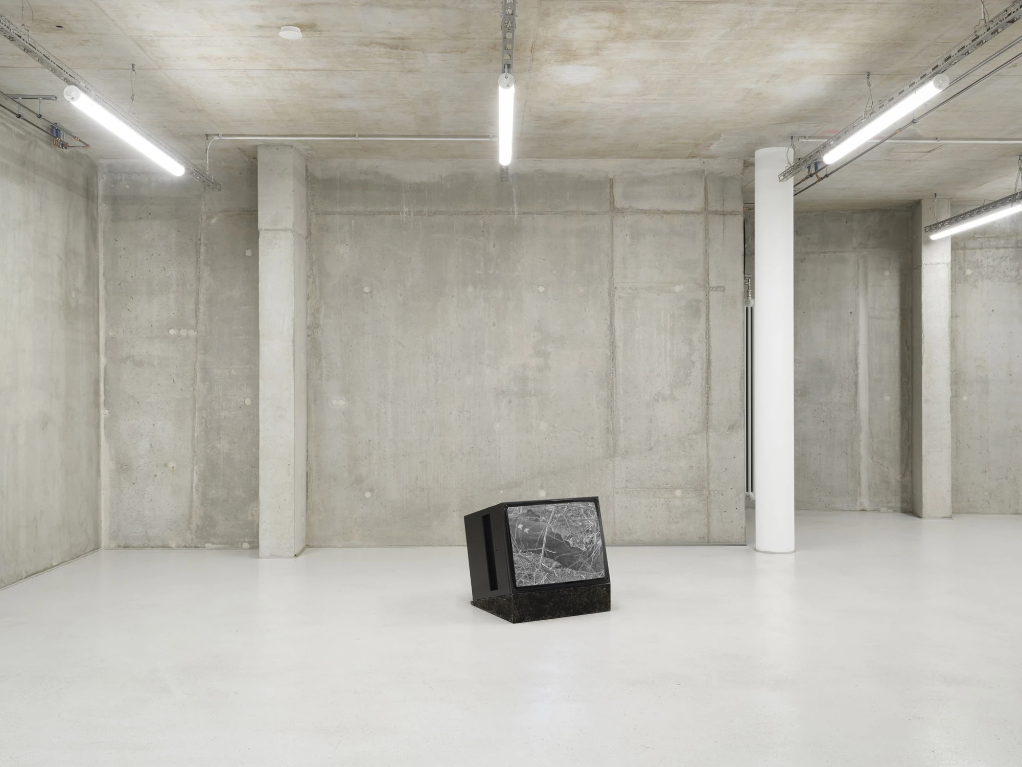Apophenia by Galerie Molitor, photographed by Marjorie Brunet-Plaza — A monitor on a granite block sits alone on pale flooring between concrete columns, its screen showing a tangle of branches.
