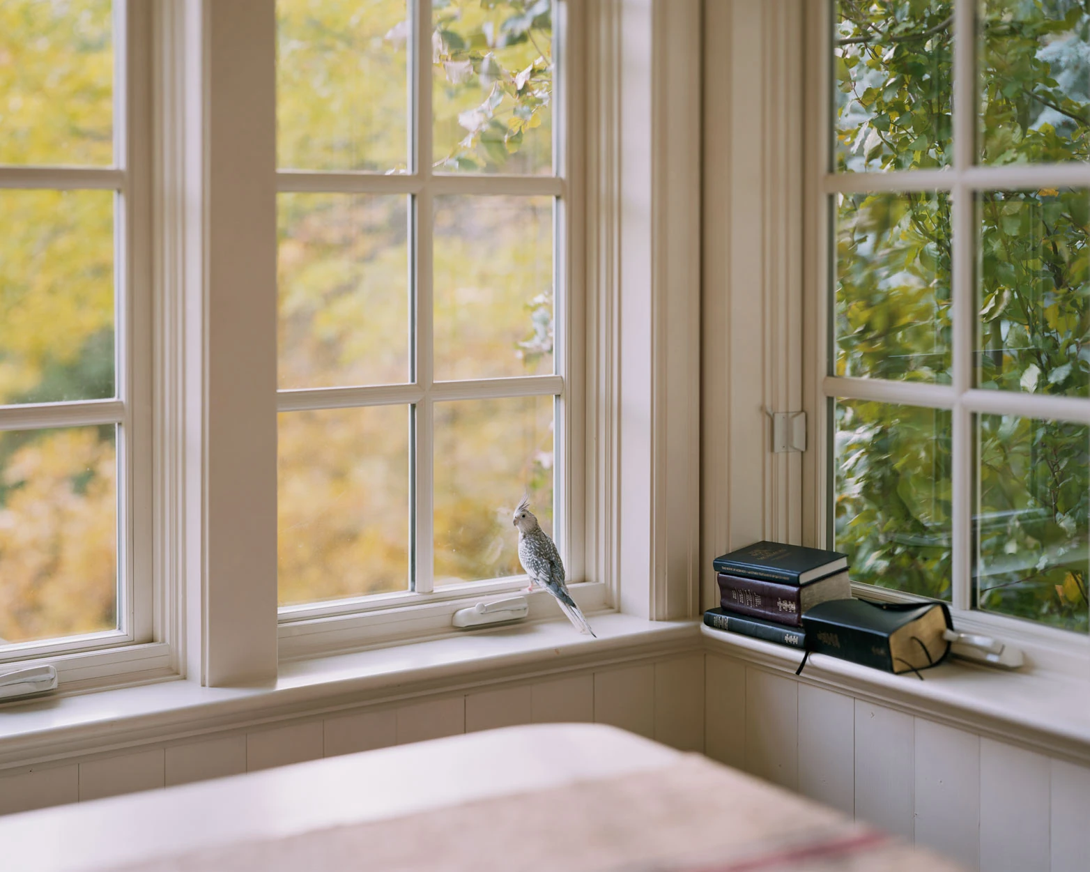 I Know How Furiously Your Heart Is Beating by Alec Soth