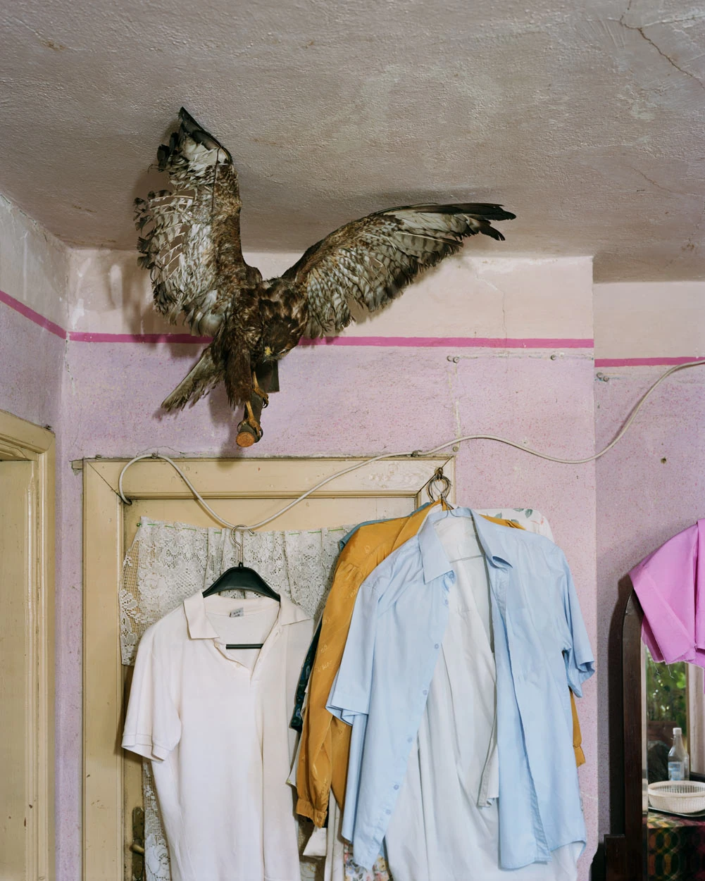 I Know How Furiously Your Heart Is Beating by Alec Soth, photographed by Alec Soth — A mounted hawk with wings spread is fixed above a doorway hung with pressed shirts on a pink plaster wall, from I Know How Furiously Your Heart Is Beating by Alec Soth.