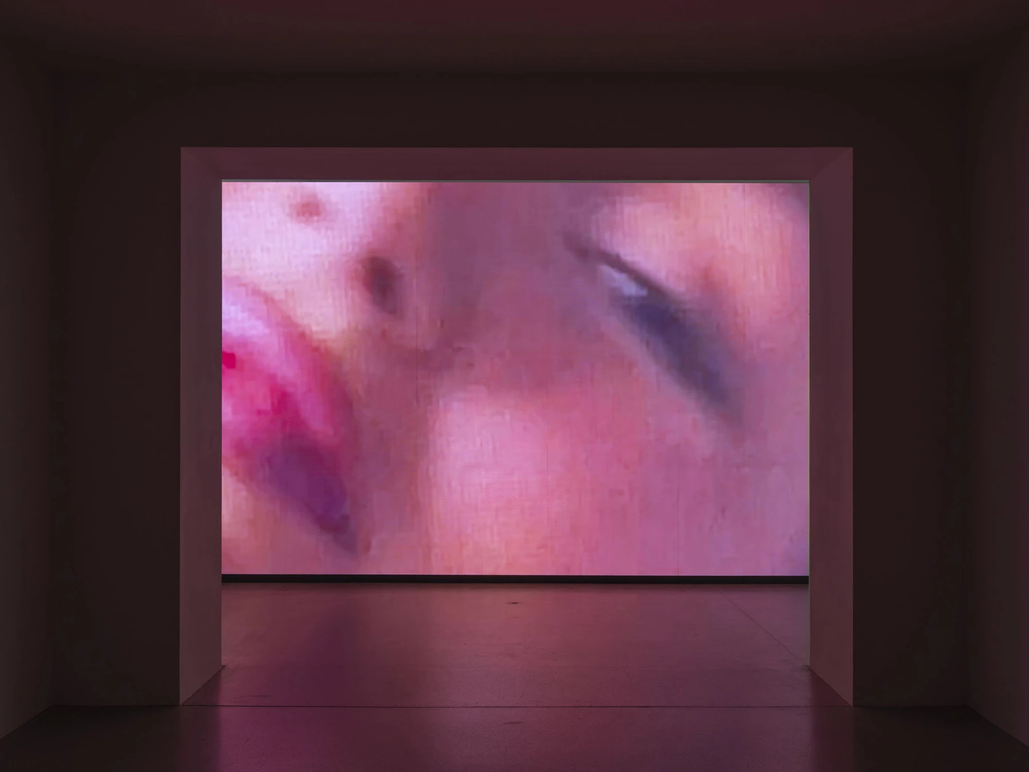 Dolls' Theater by Mimosa Echard, photographed by Julien Gremaud, Annik Wetter — Seen through a doorway, a wall-sized screen shows an extreme close-up of pink skin, an eye and a mouth, its glow spilling across the floor.