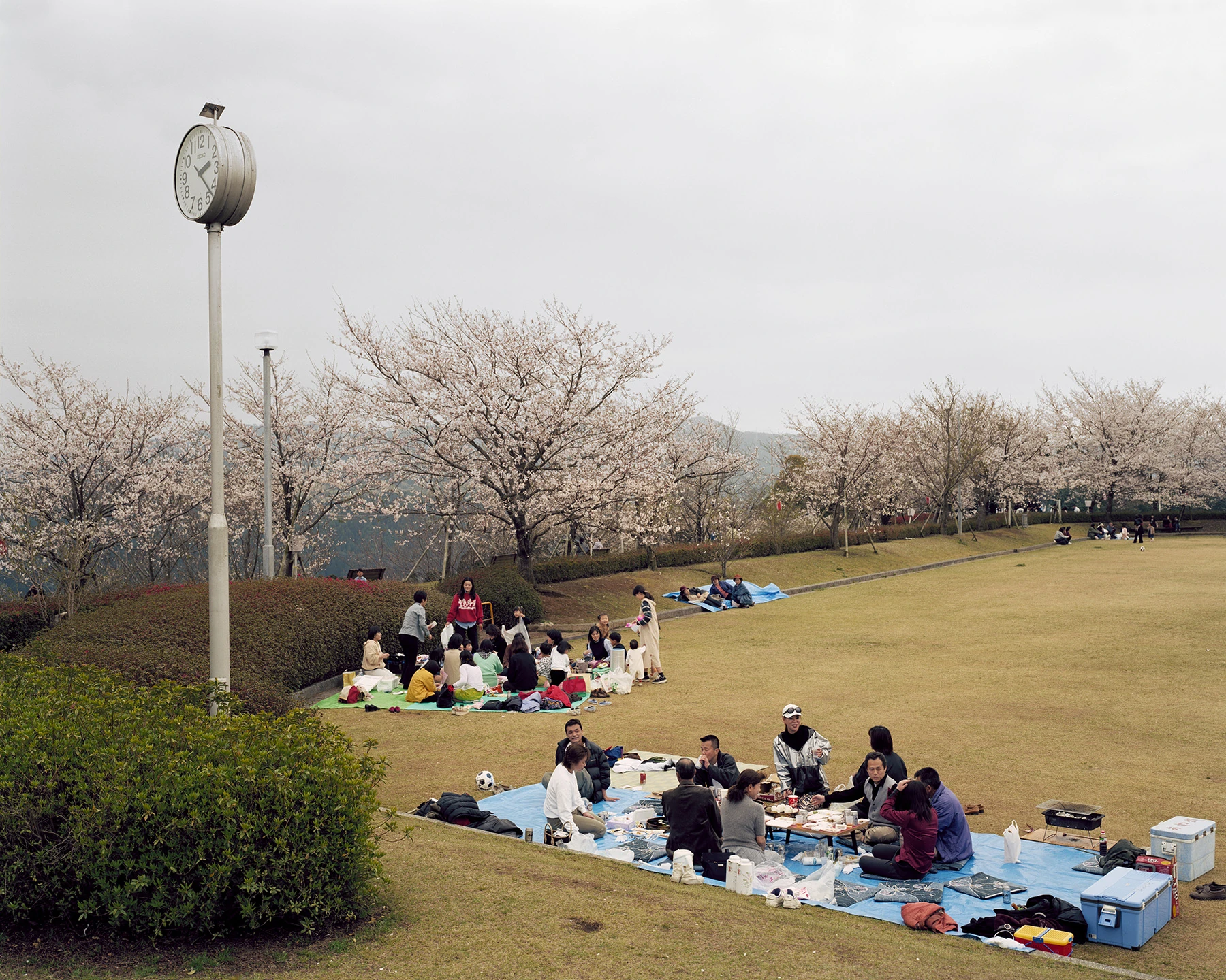 MIYAZAKI by Mark Power, photographed by Mark Power — Families picnicking on blue and green tarpaulins on a mown slope beneath flowering cherry trees, a large clock mounted on a white pole at the left of the frame.
