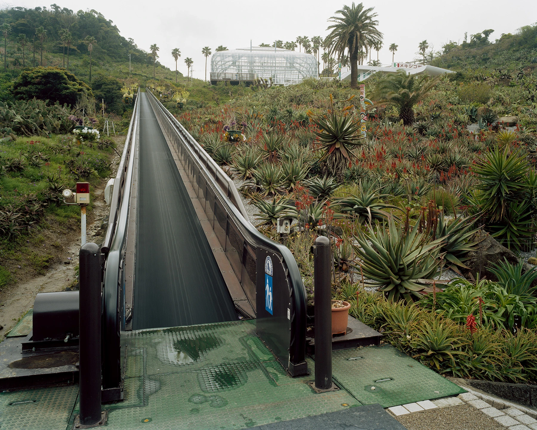 MIYAZAKI by Mark Power, photographed by Mark Power — A long covered escalator running uphill through a planted bed of aloe and agave in red flower, a glasshouse and a signed pavilion at the top of the slope.