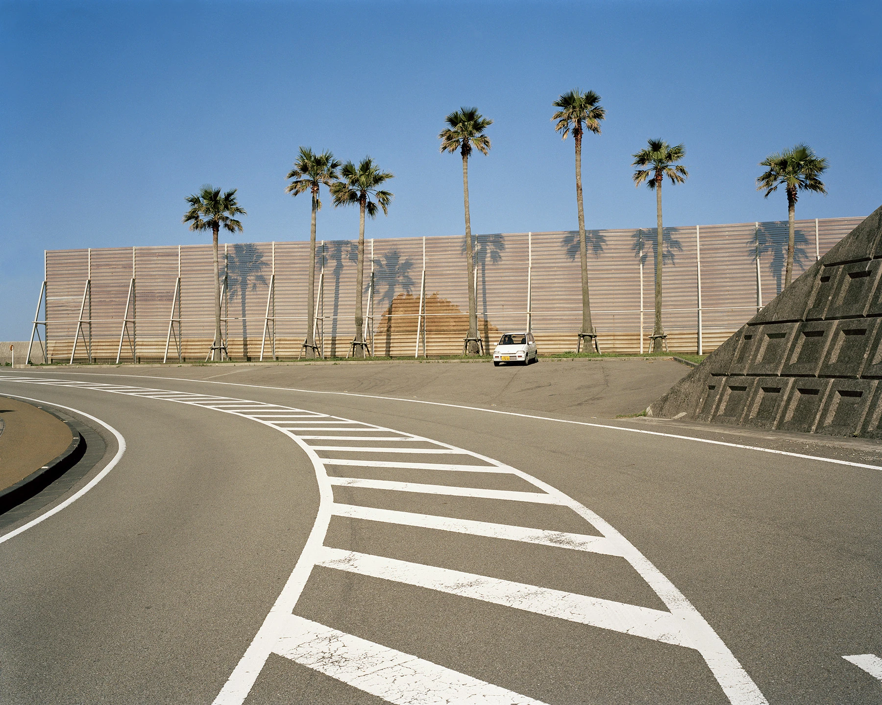 MIYAZAKI by Mark Power, photographed by Mark Power — Six fan palms standing in a line behind a corrugated highway noise barrier, their shadows printed across it, a small white car parked below and a wide curve of road markings in the foreground.